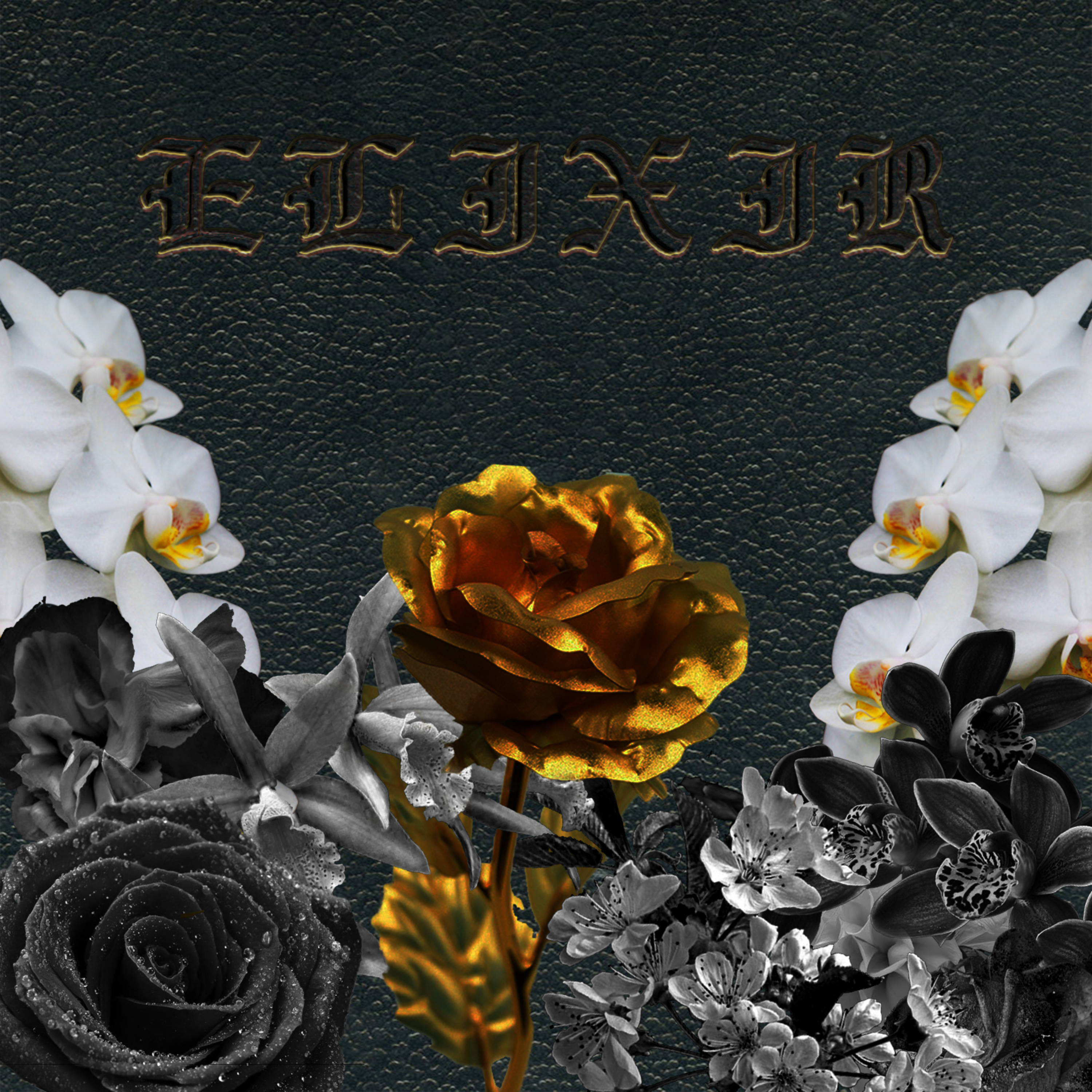 ELIXIR artwork