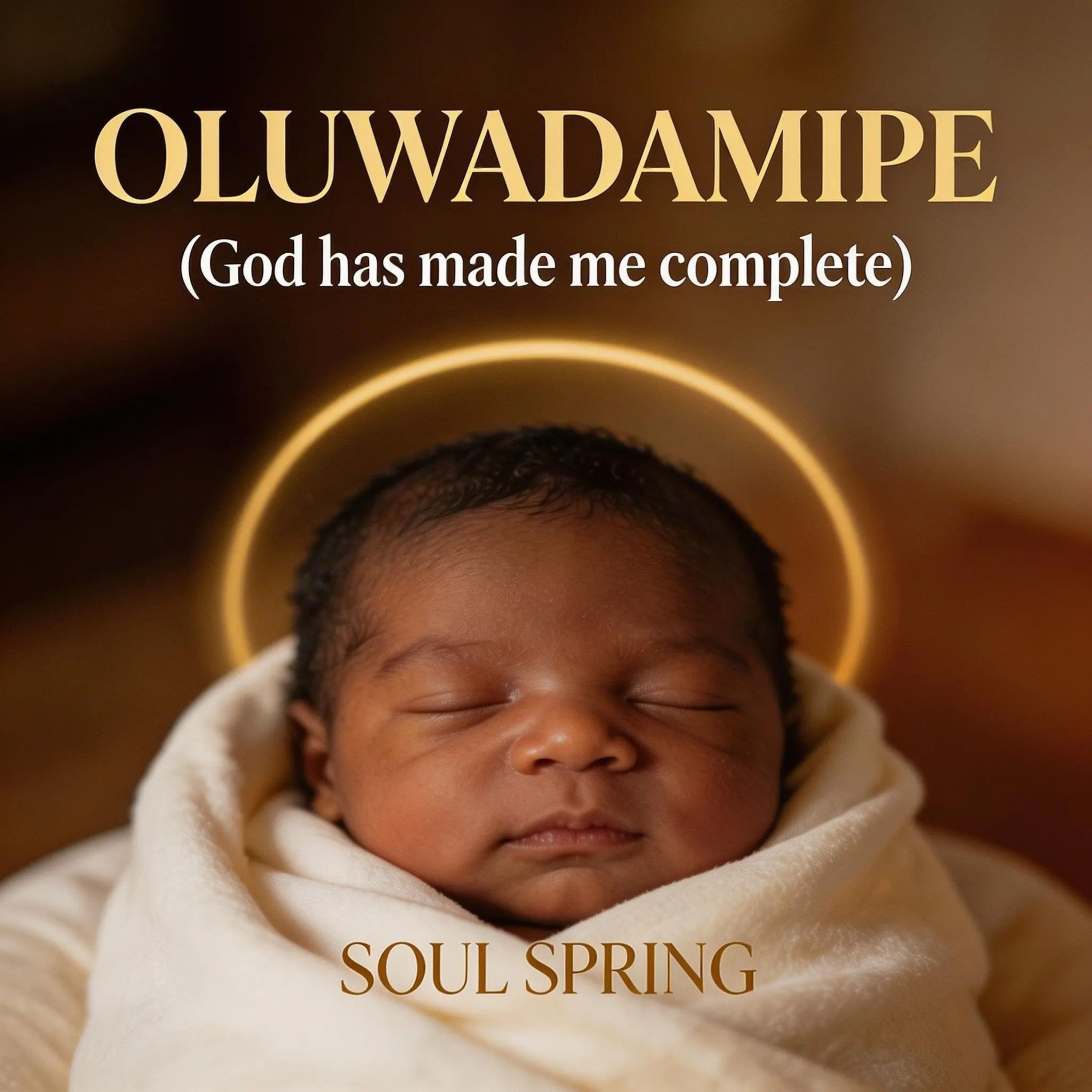 Oluwadamipe artwork