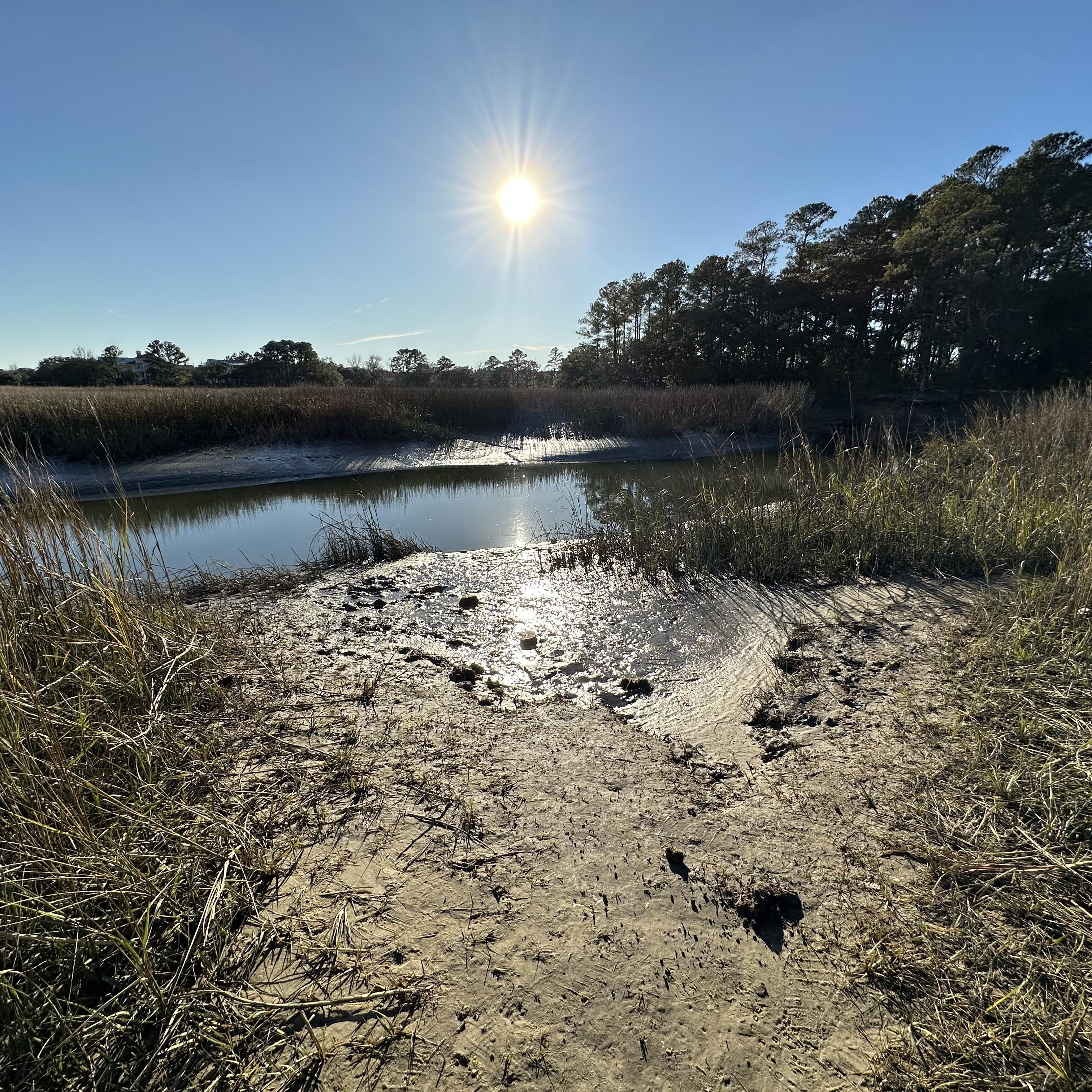 Too Many Everything’s artwork