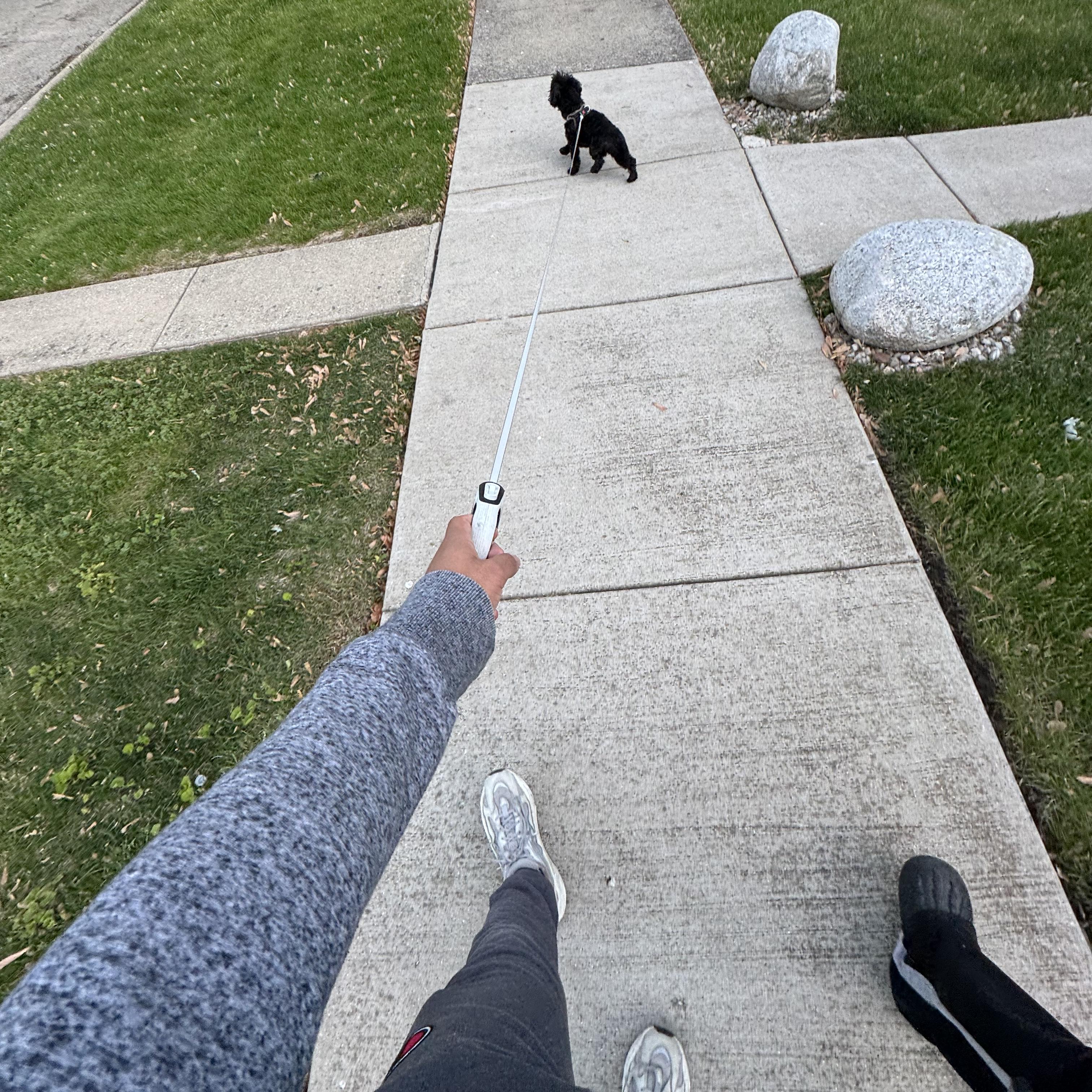 you came back!! artwork