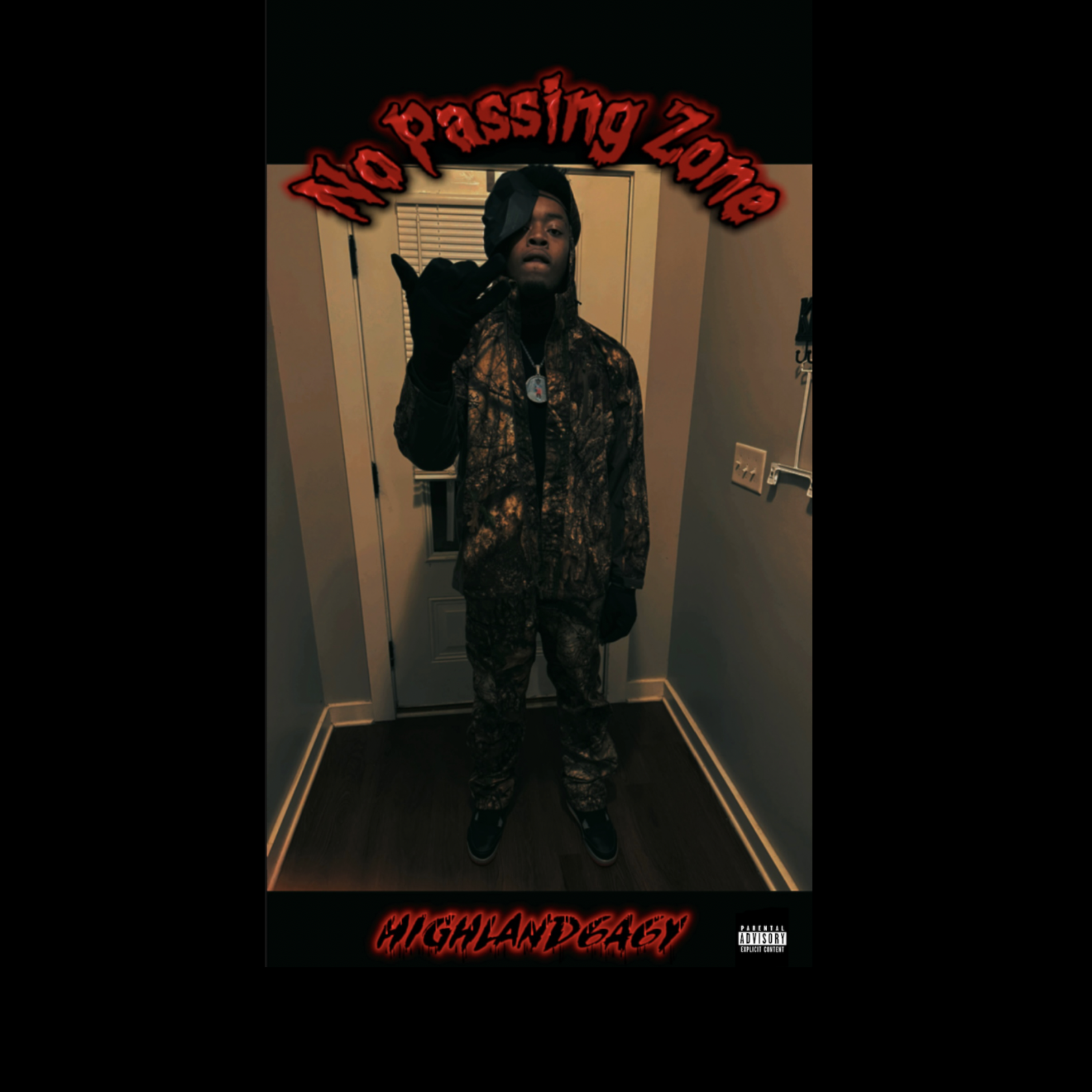 No Passing Zone artwork