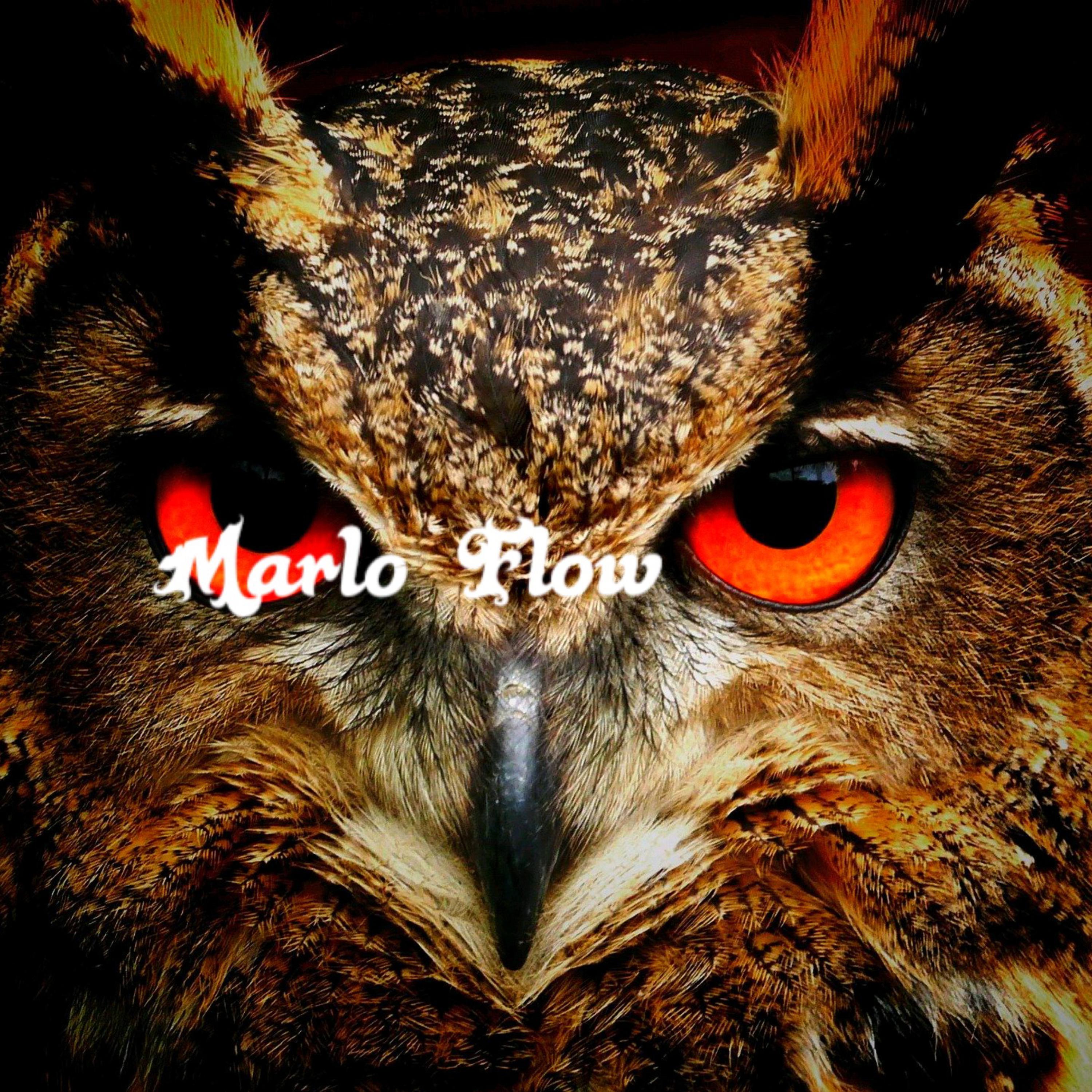 Marlo Flow artwork