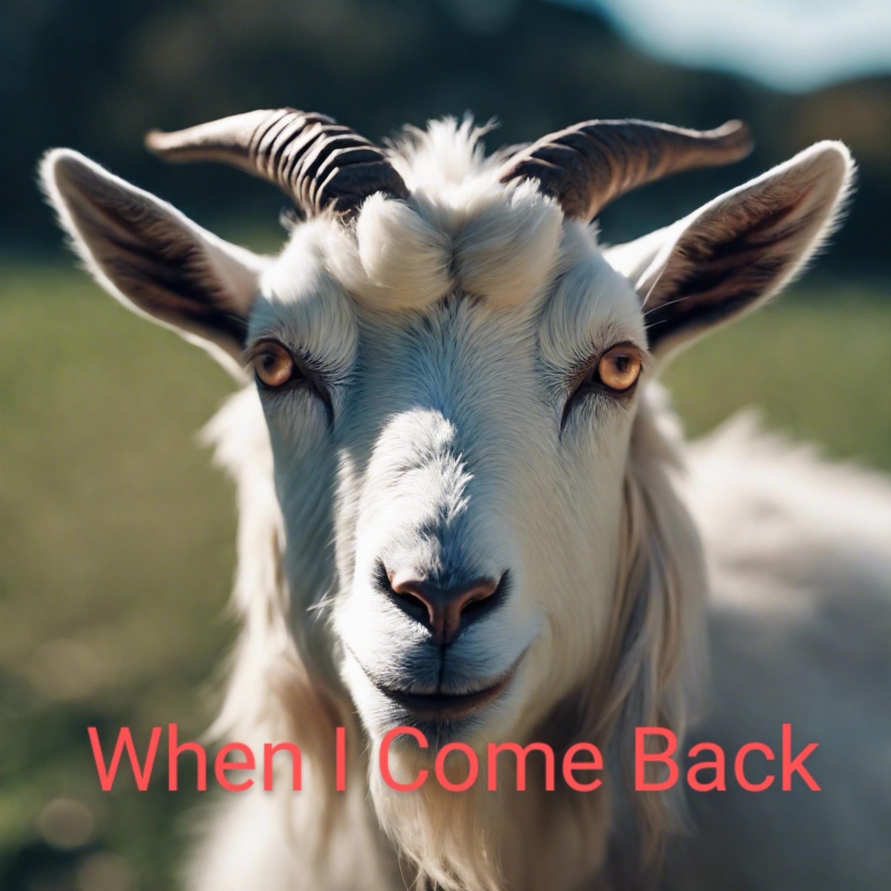 when I Come Back artwork