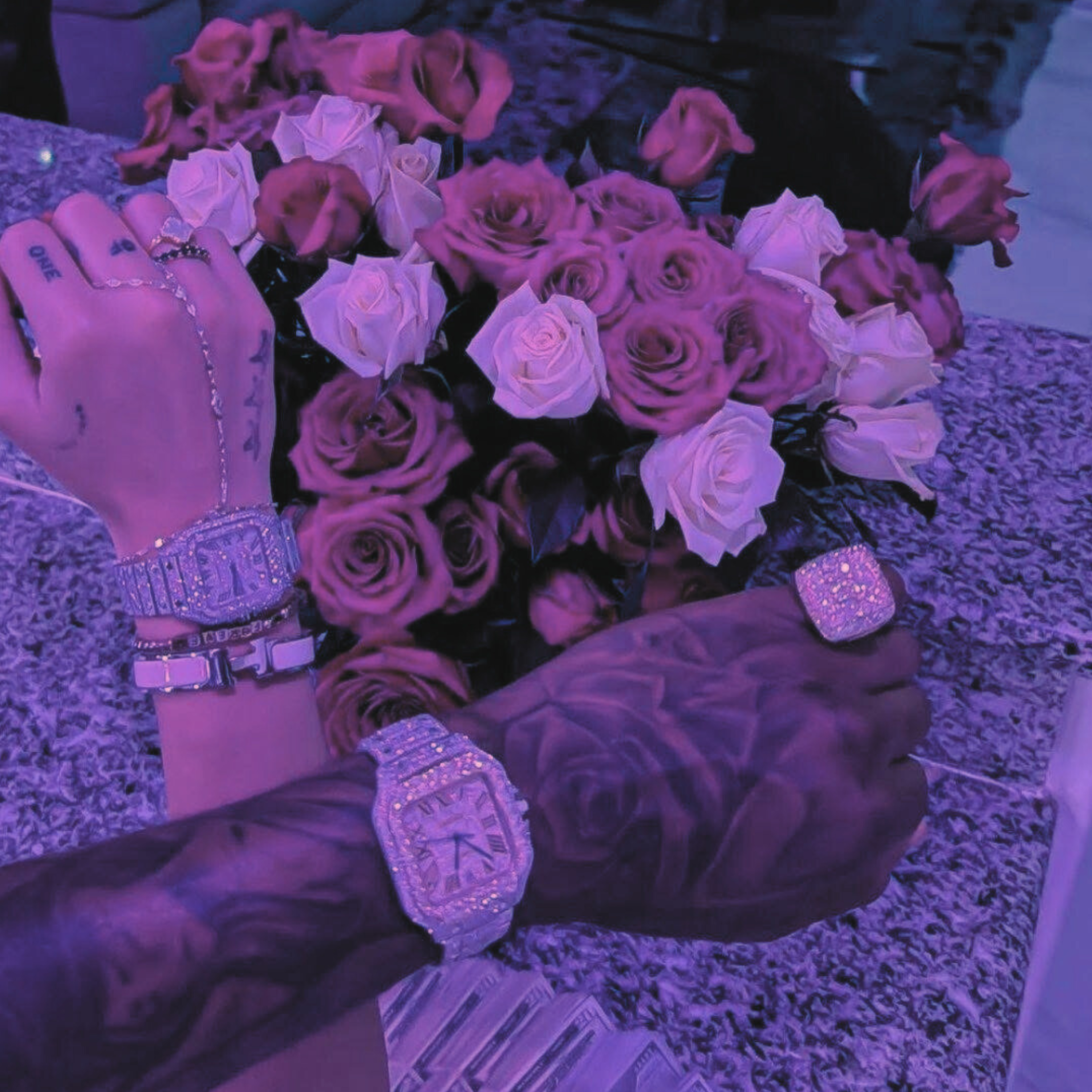No Apologies artwork