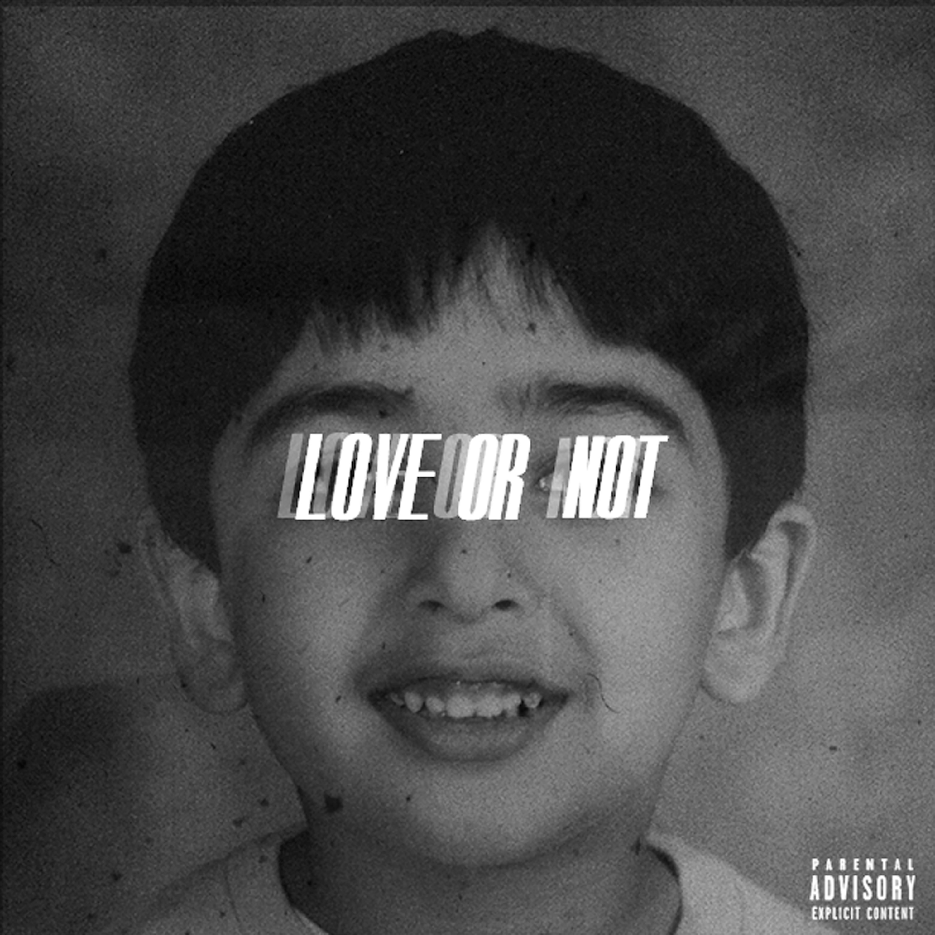 Love or Not artwork