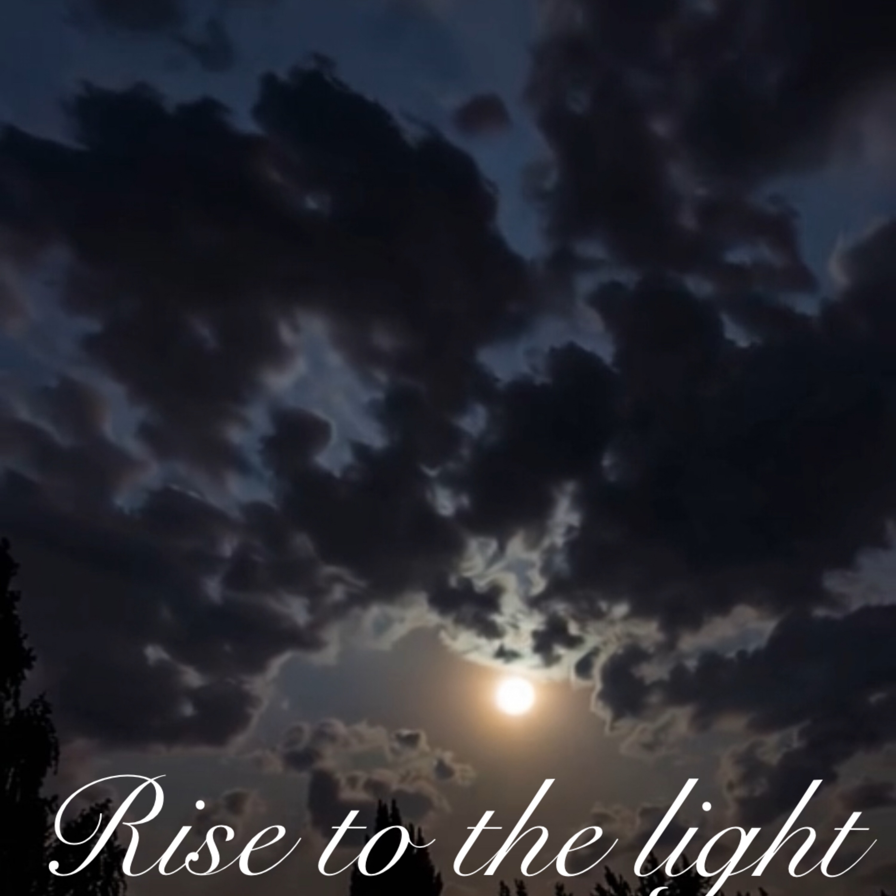 Rise To The Let Light artwork