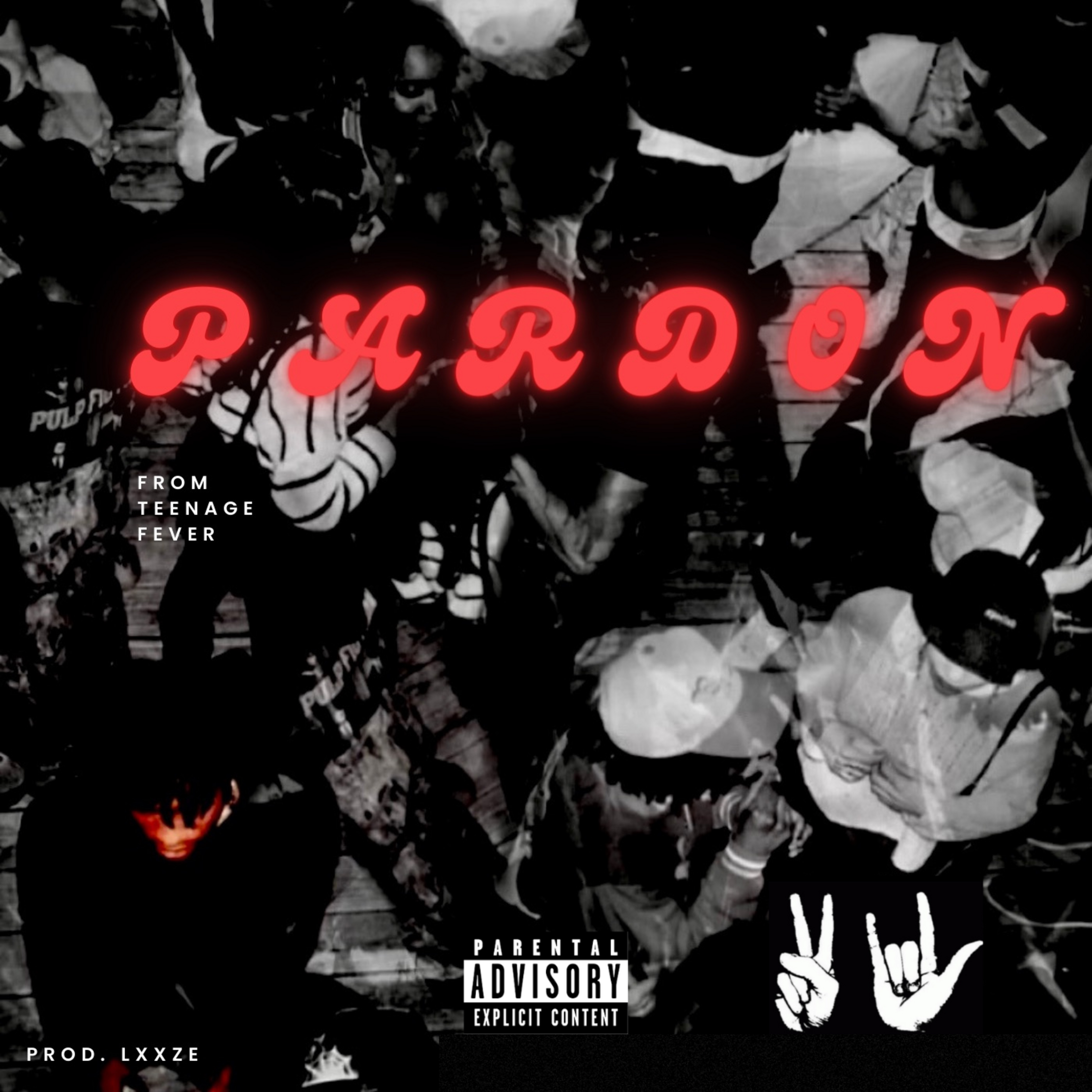 PARDON ALL THE PARTIES ! artwork