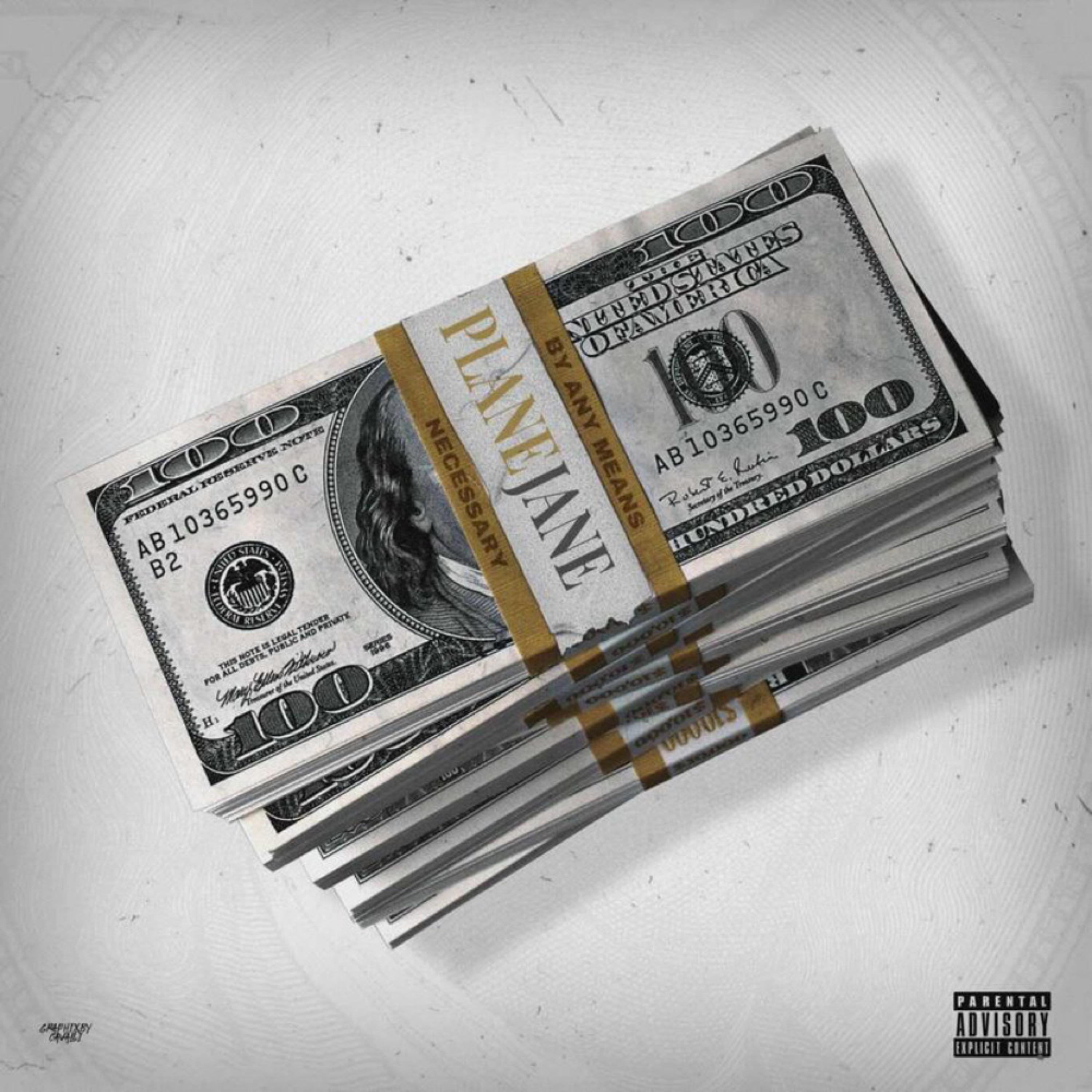 By Any Means by Plane Jane cover art