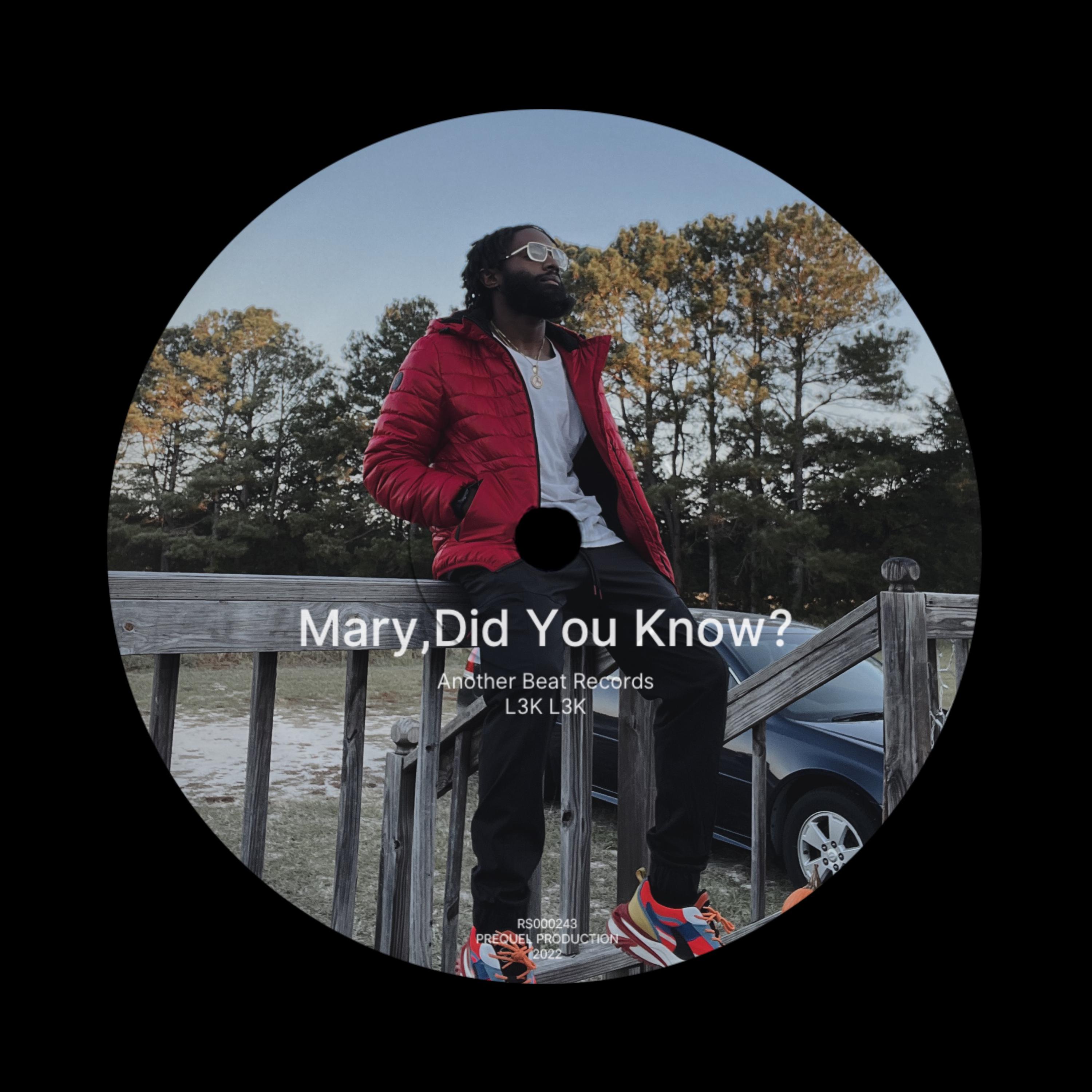 Mary Did You Know? by L3K L3K cover art