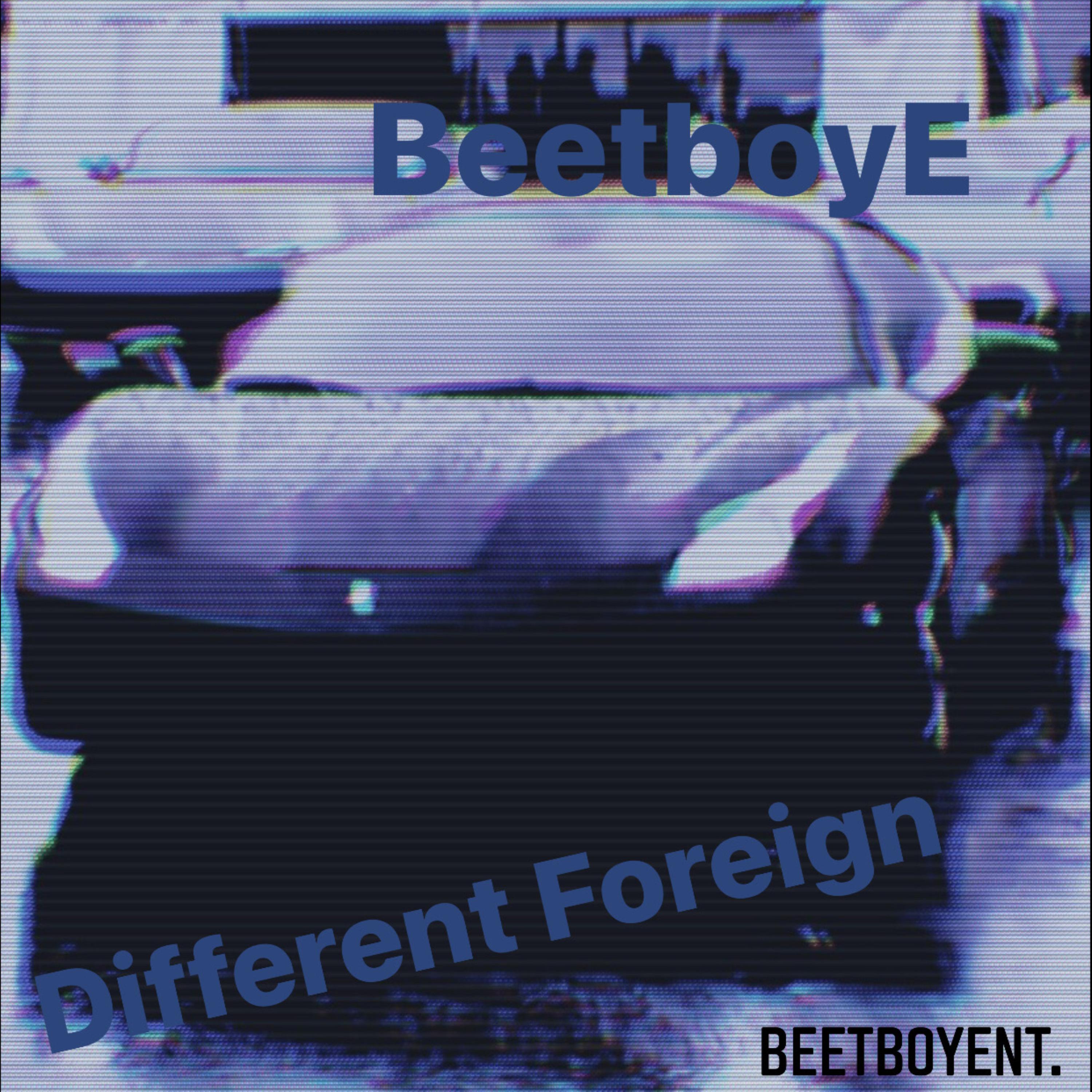 Different Foreigns by BeetboyE cover art