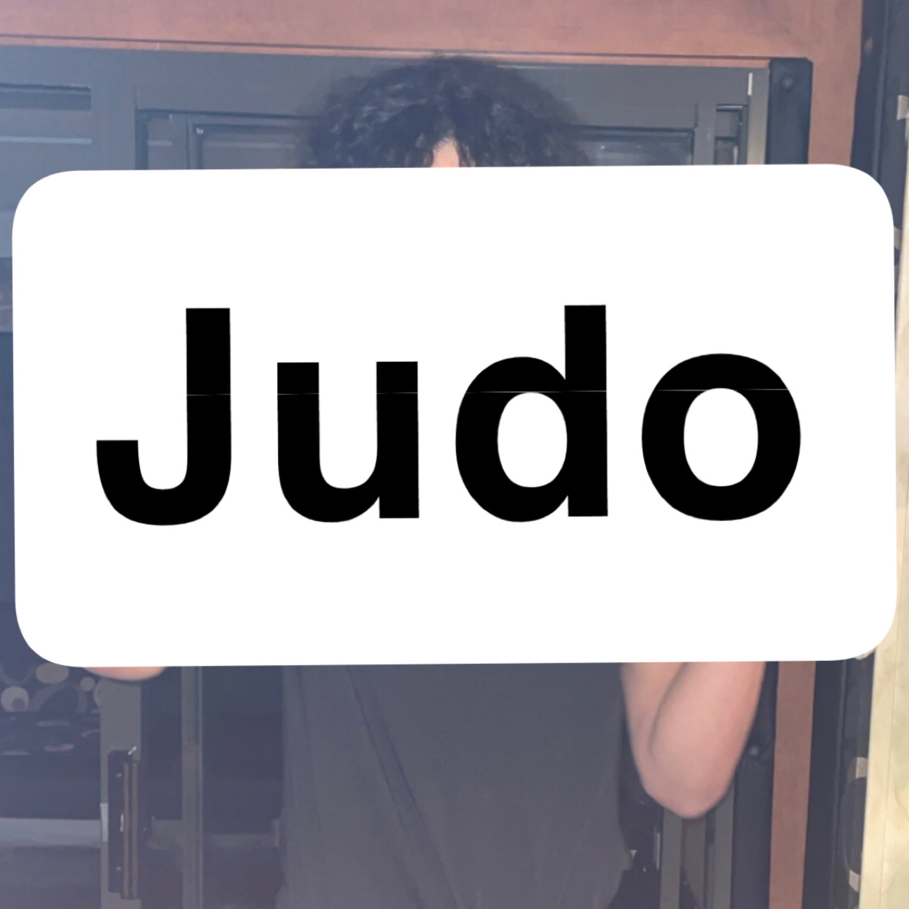 Judo artwork