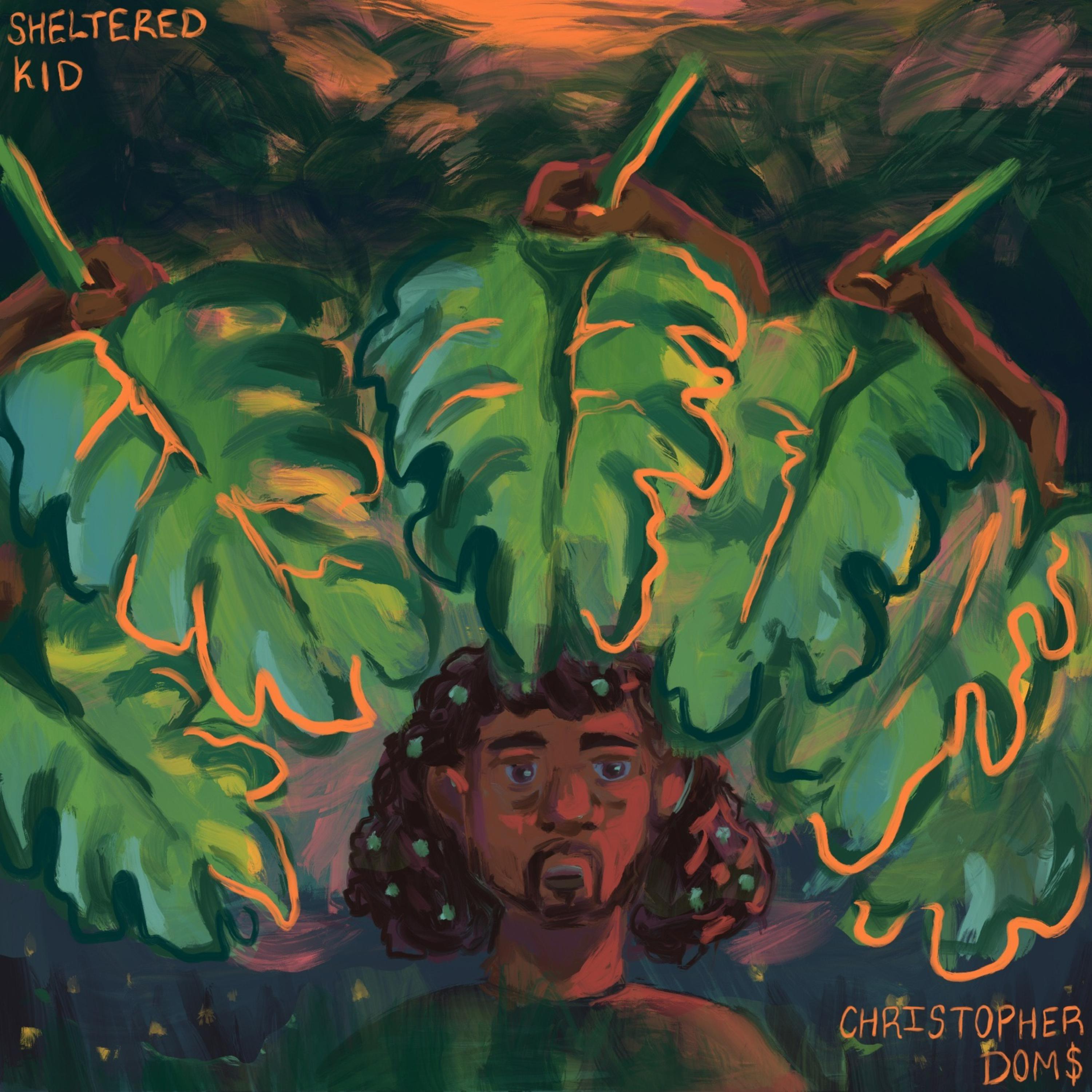 Sheltered Kid artwork