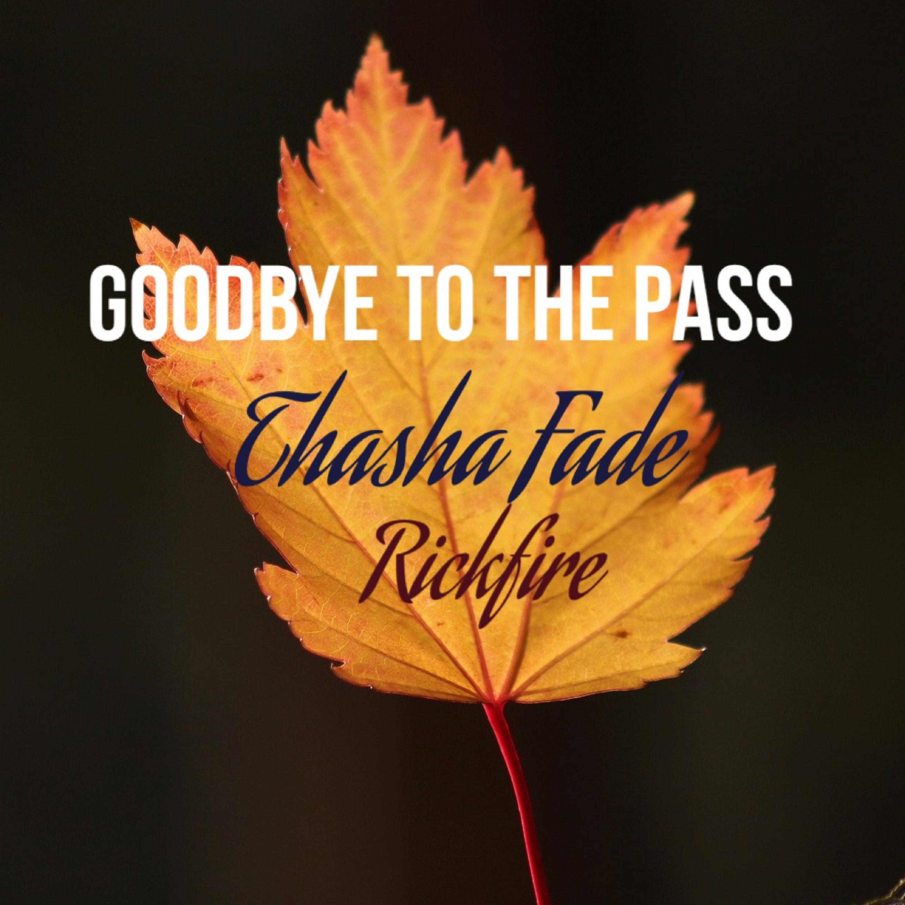 Goodbye To The Pass artwork
