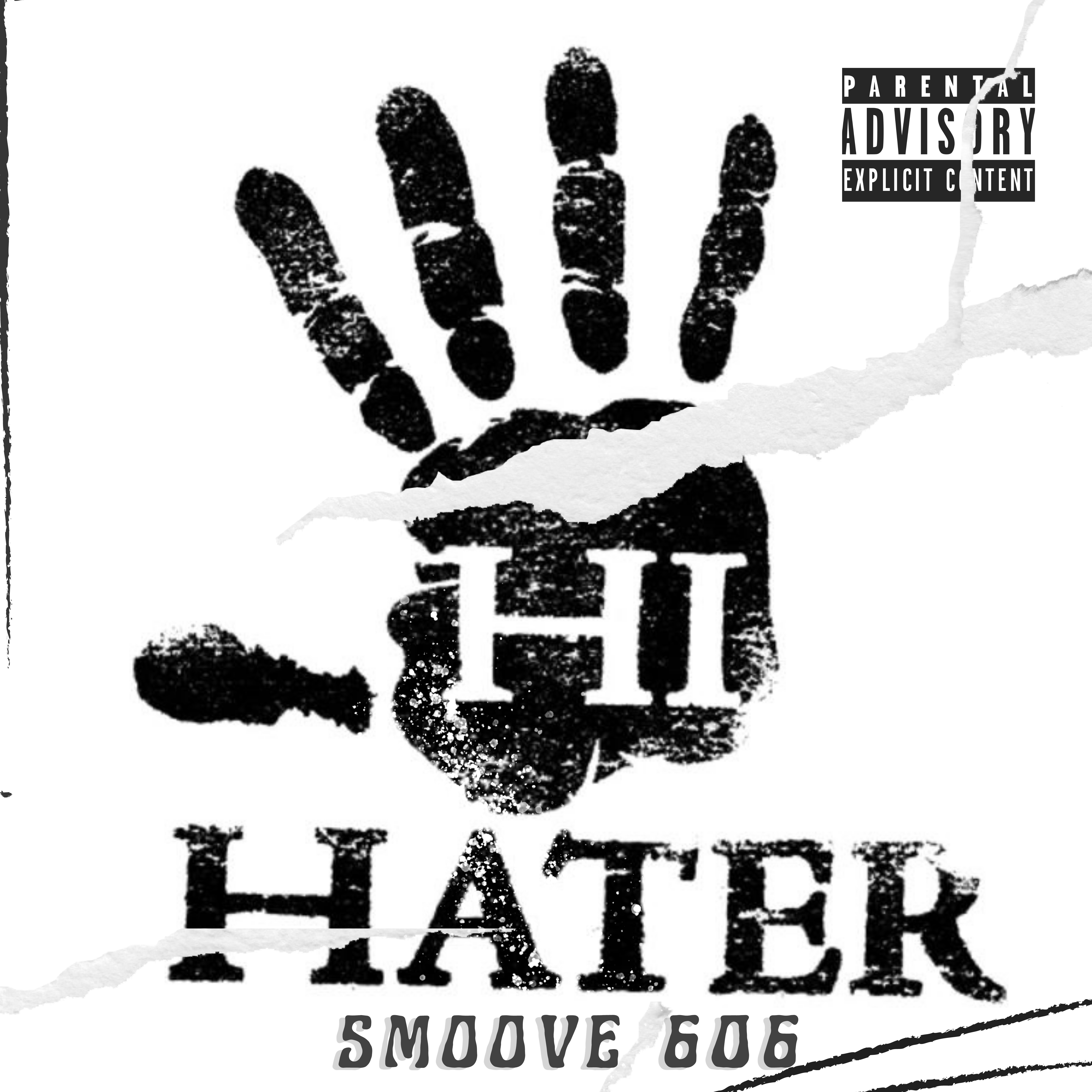 Hello To My Haters artwork