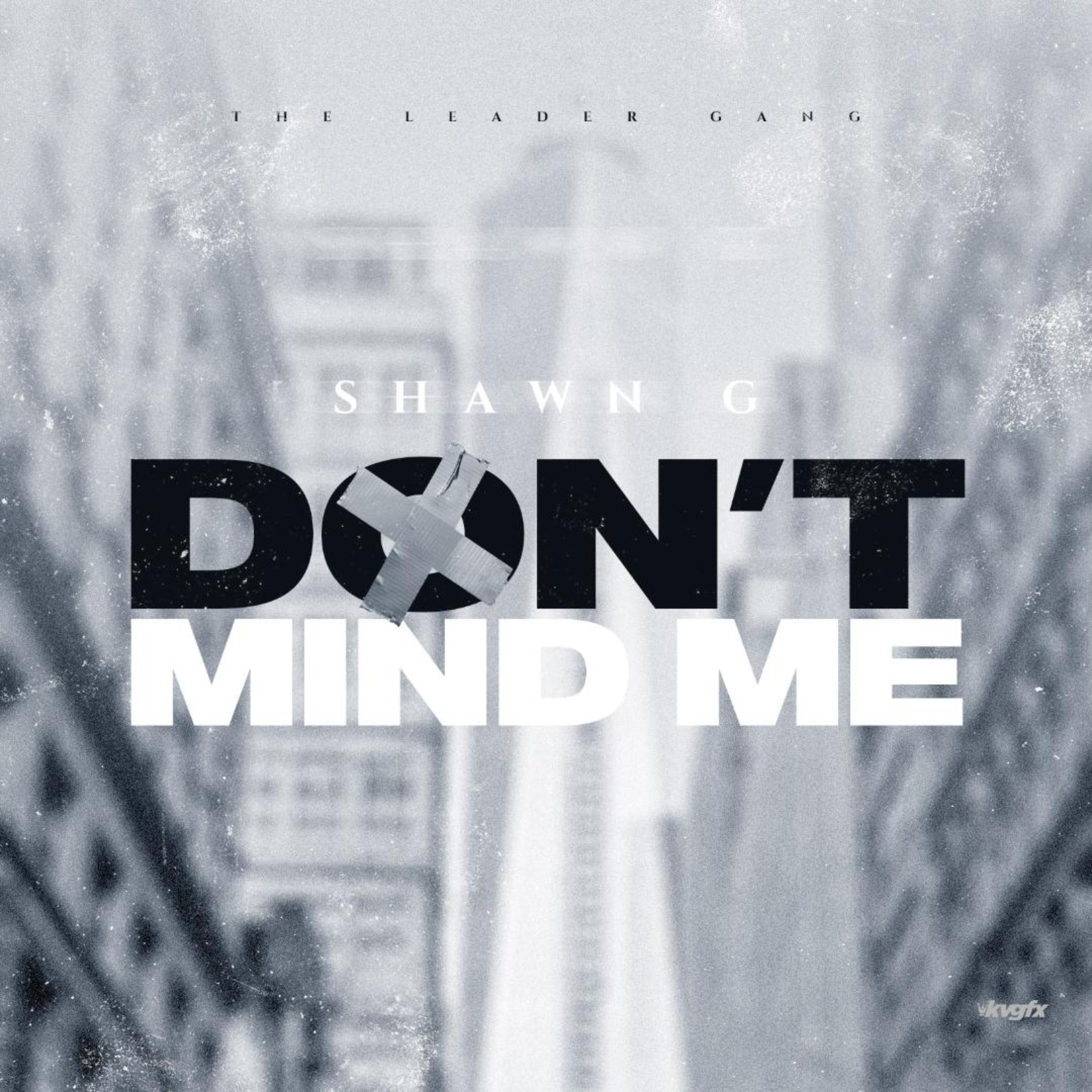 Don't Mind Me artwork