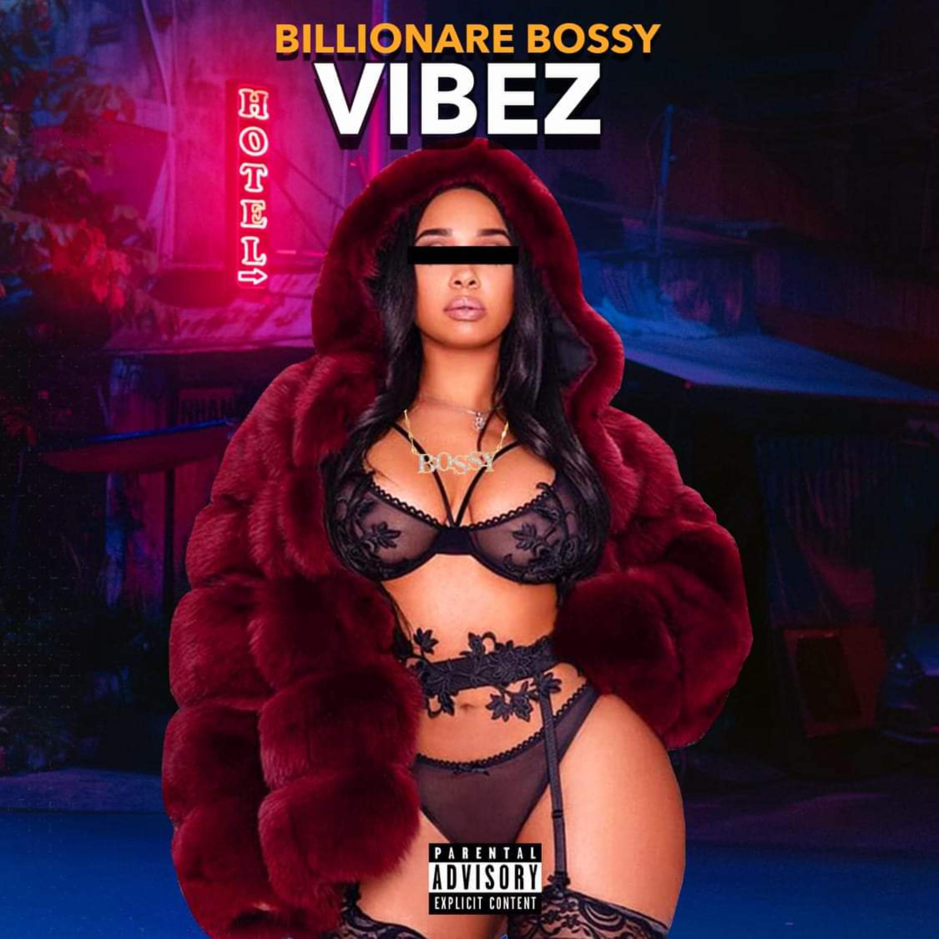 Vibez artwork
