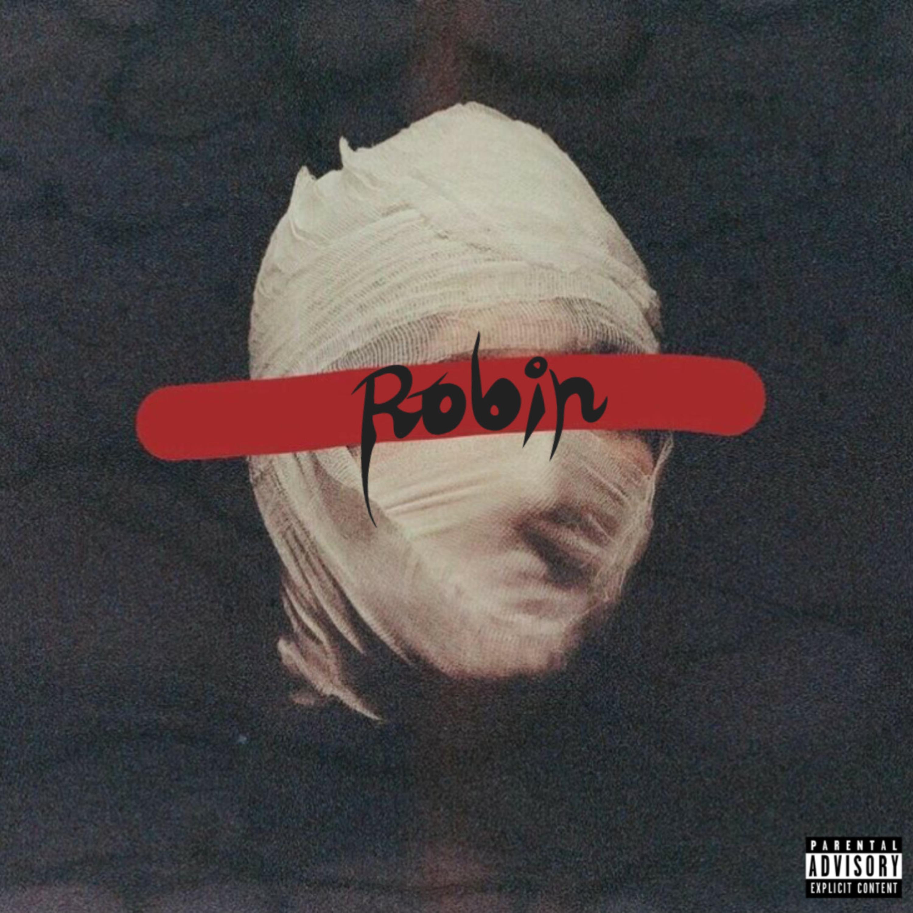 Robin (2022) by Ksubikid cover art