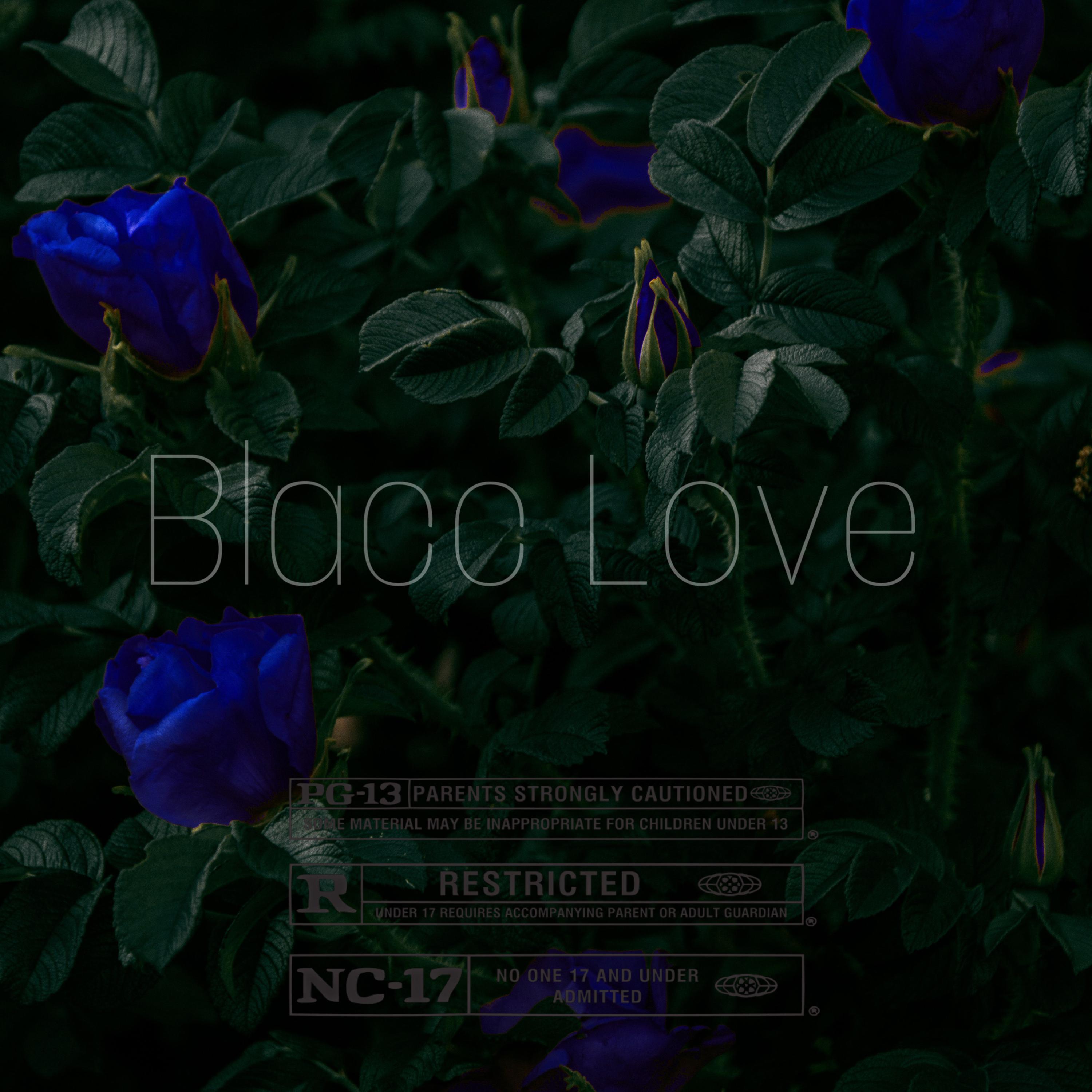 Blacc Love artwork