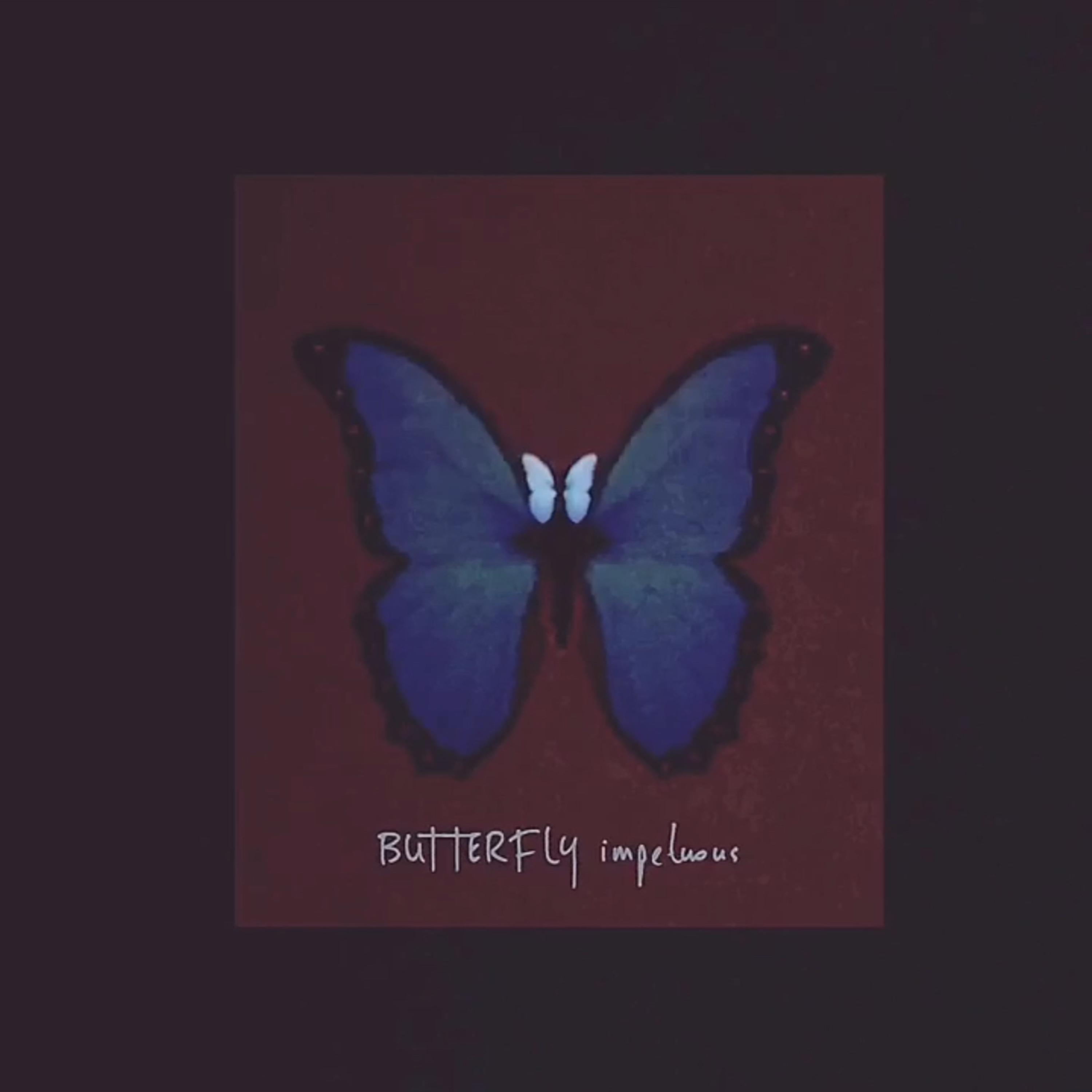 Butterfly Impetuous artwork