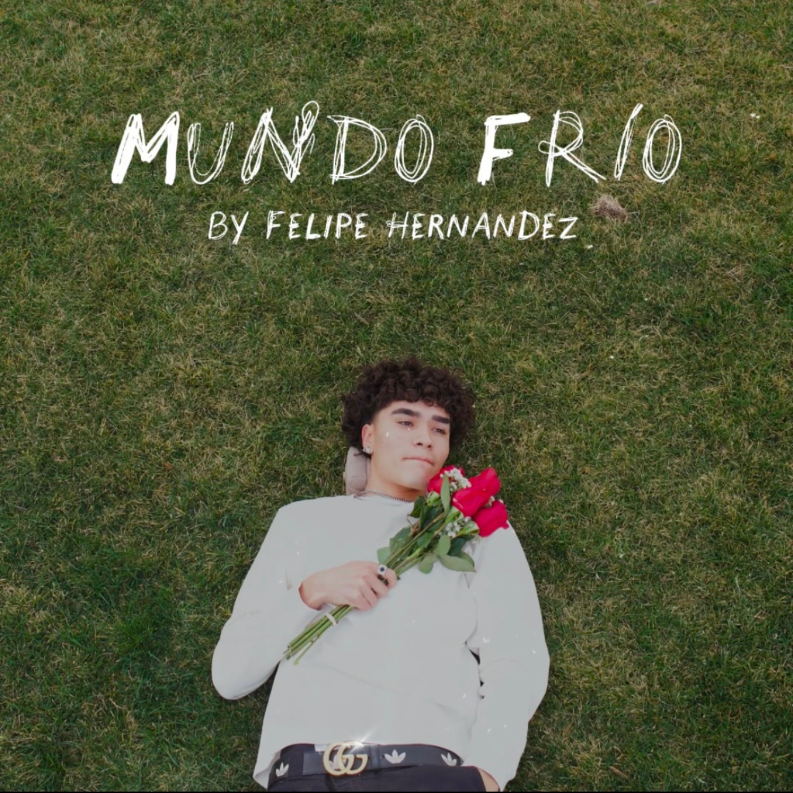 Mundo Frío artwork