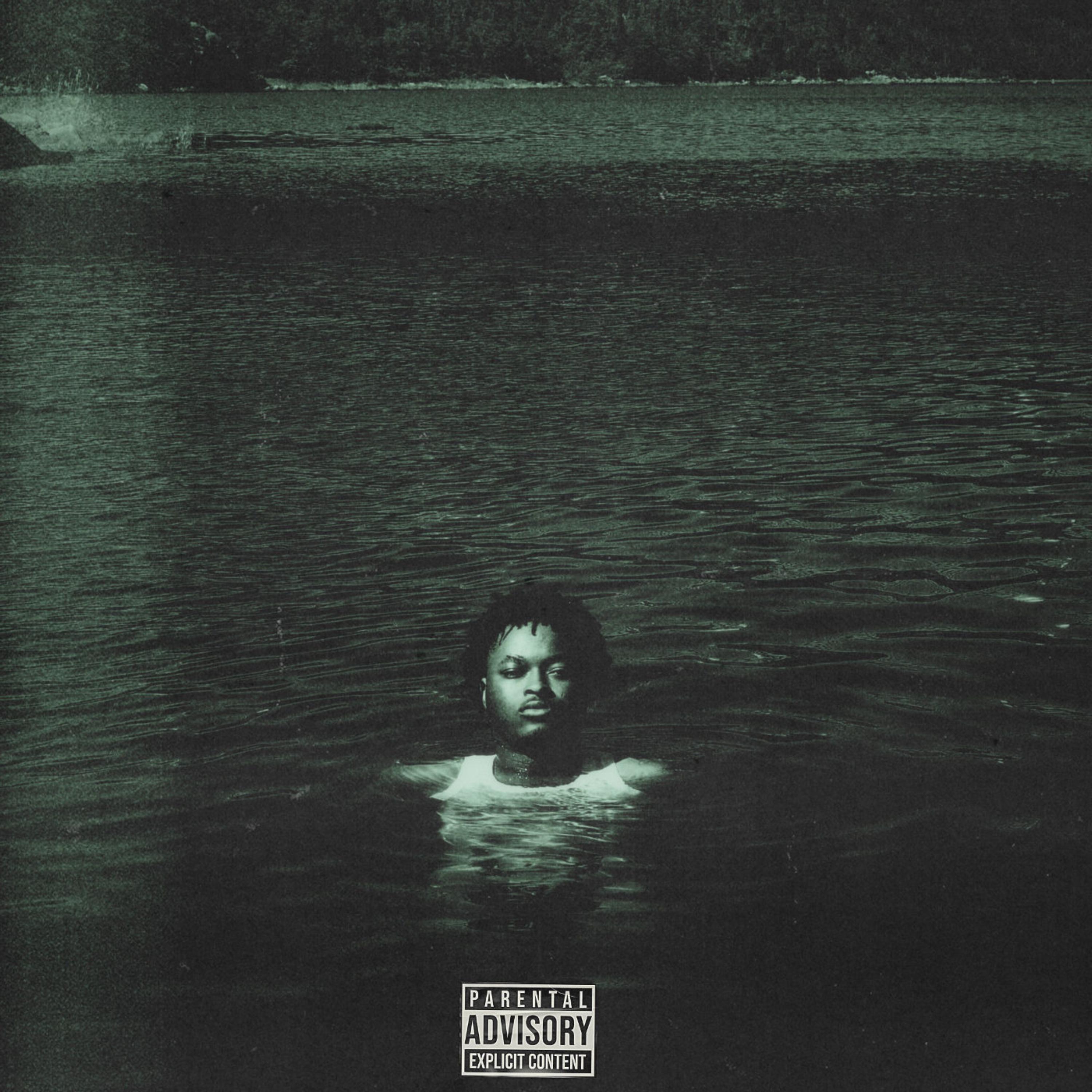NEXT THING artwork
