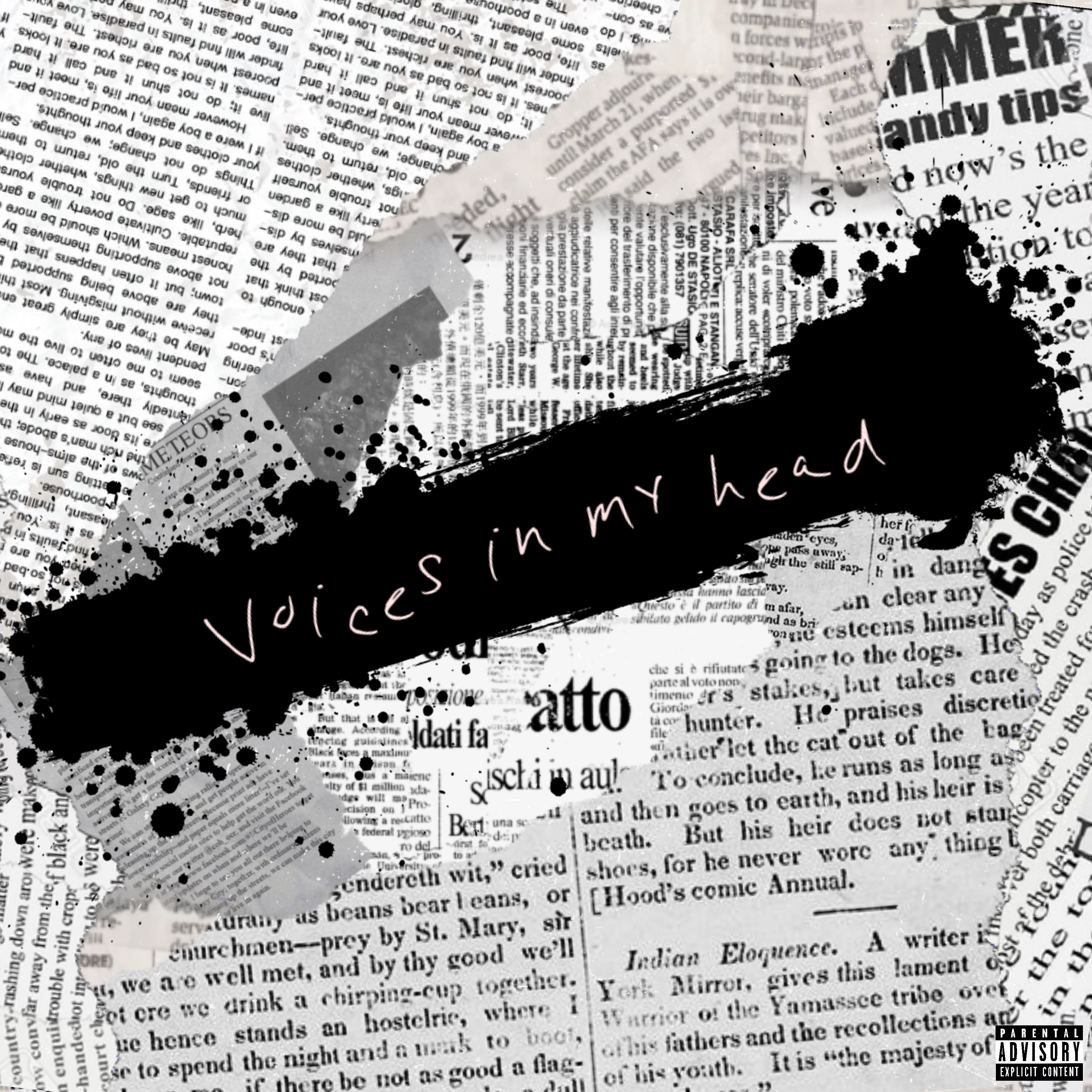 Voices In My Head artwork