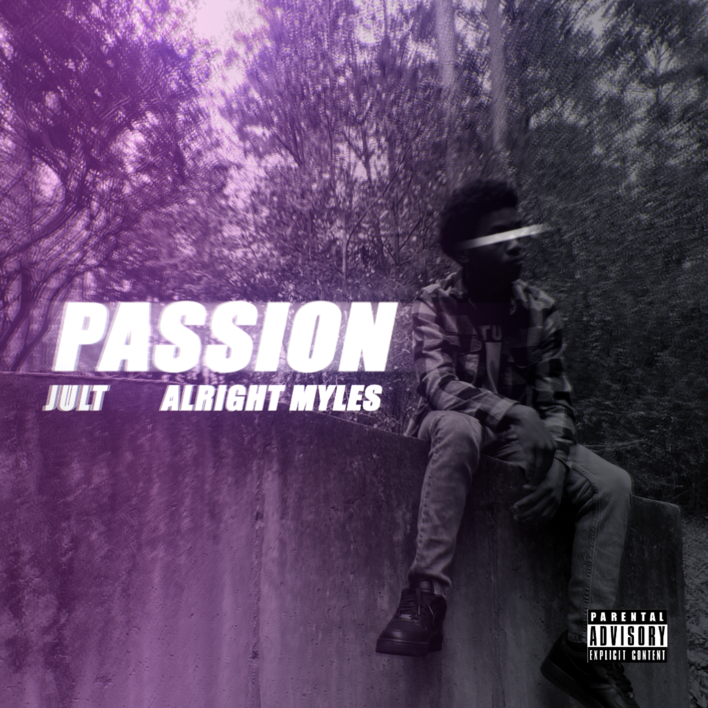 PASSION artwork
