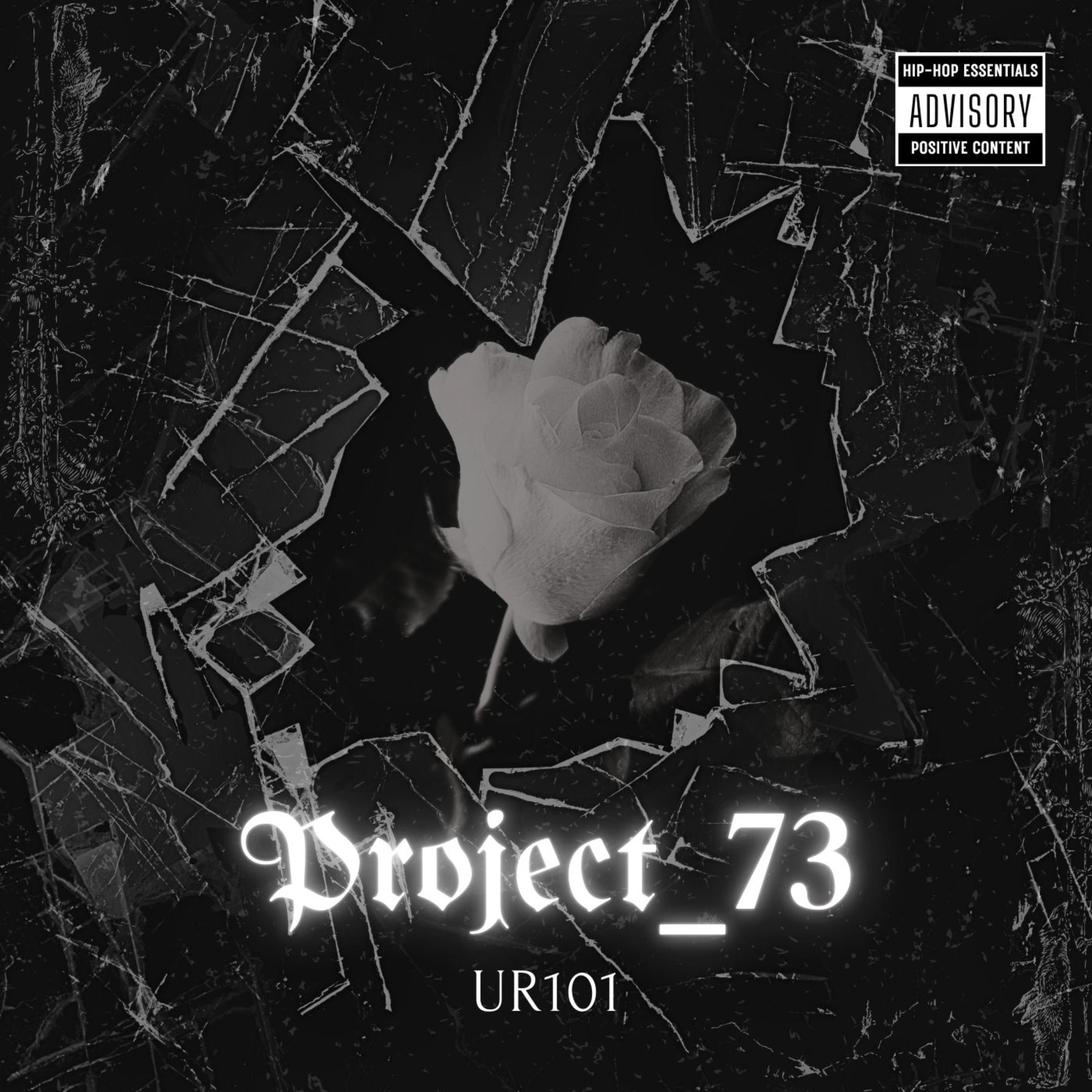Project 73 artwork