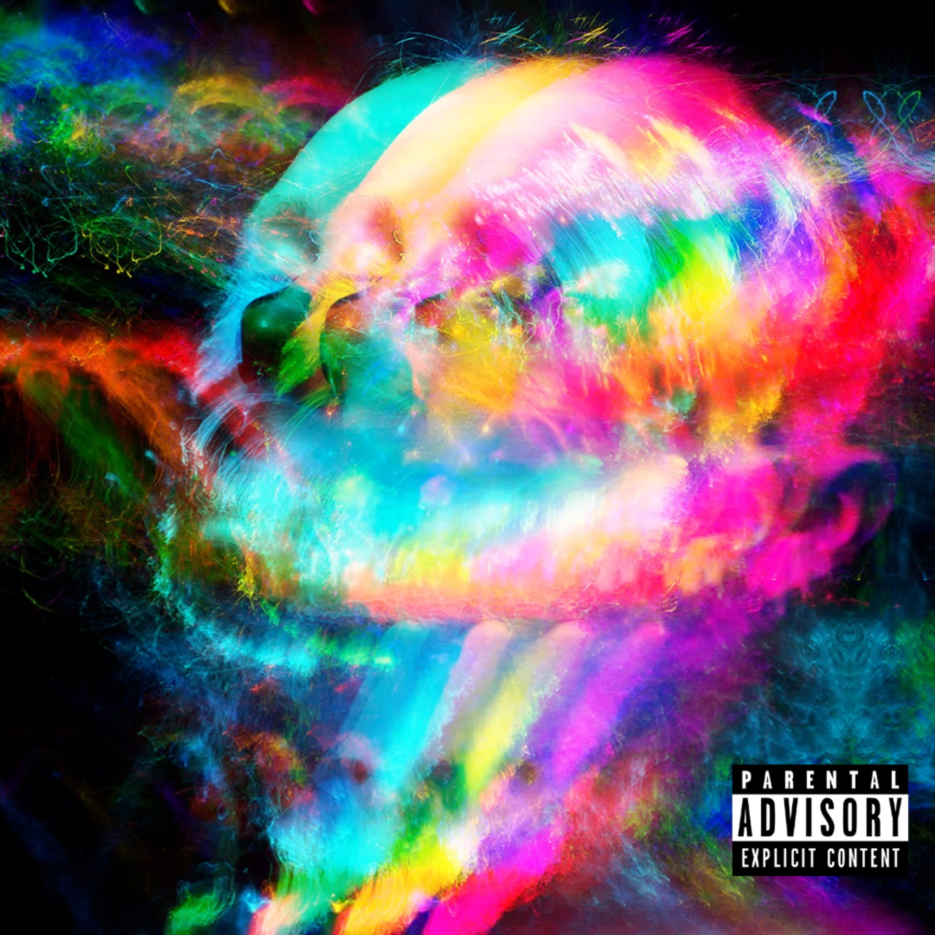 NOVACANE artwork