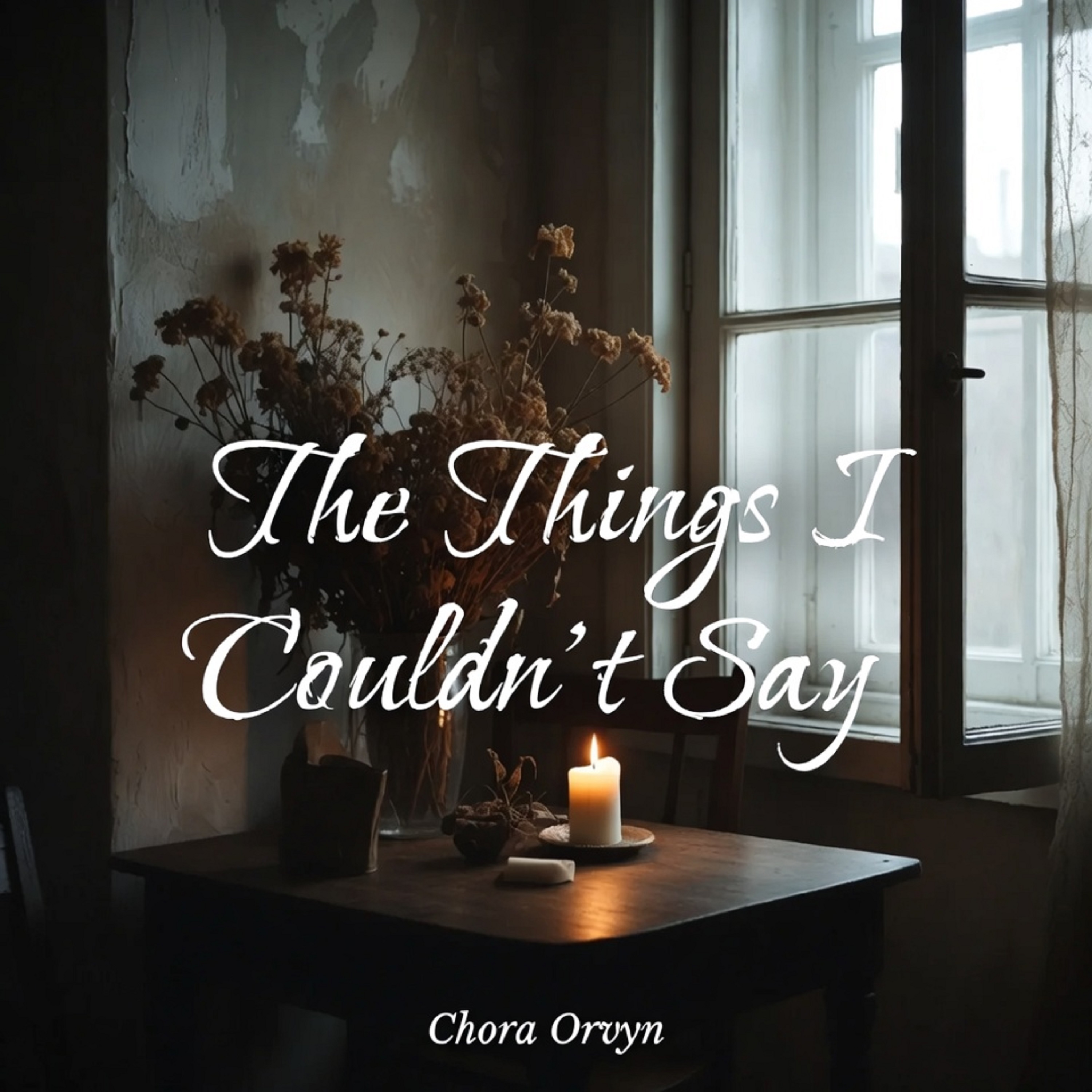 The Things I Couldn’t Say artwork