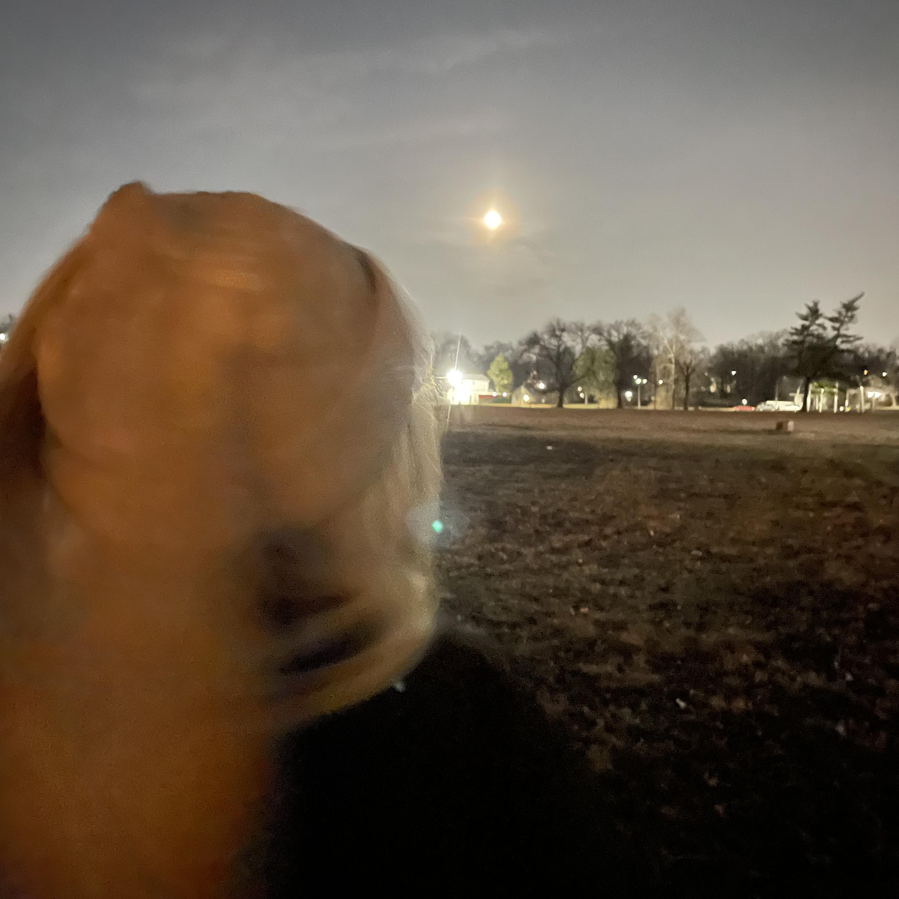 That’s All Folks artwork