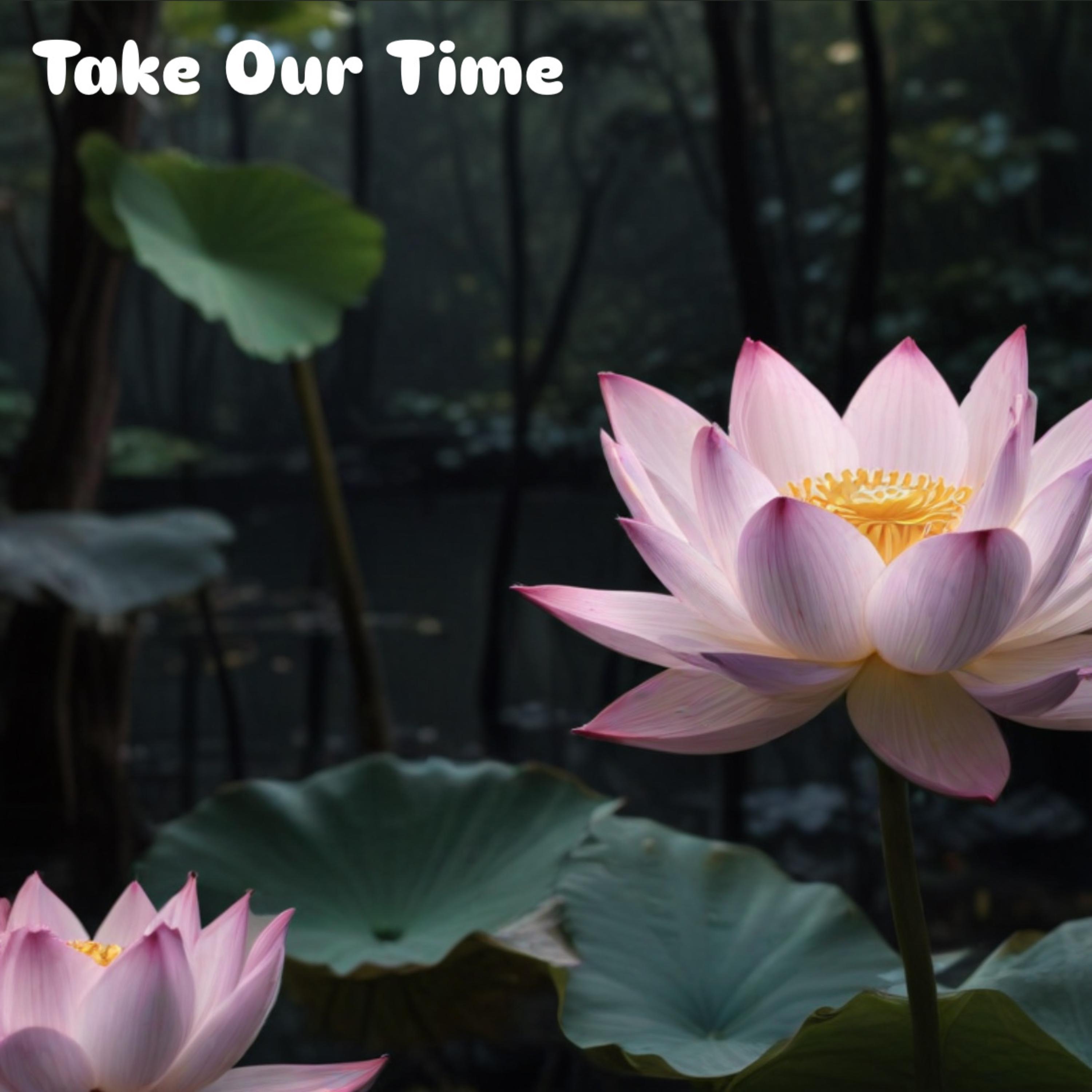 Take Our Time artwork
