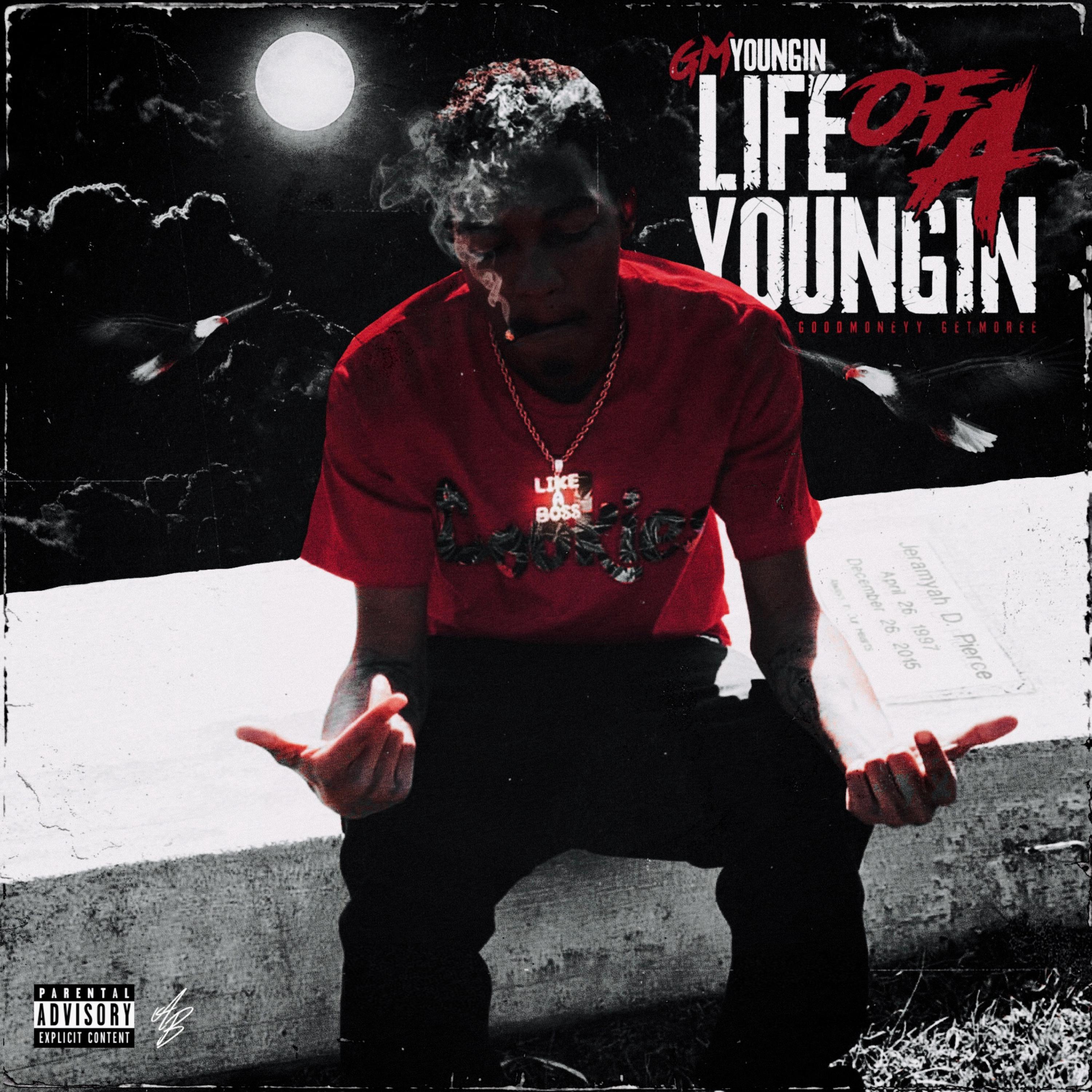 Life Of A Youngin artwork