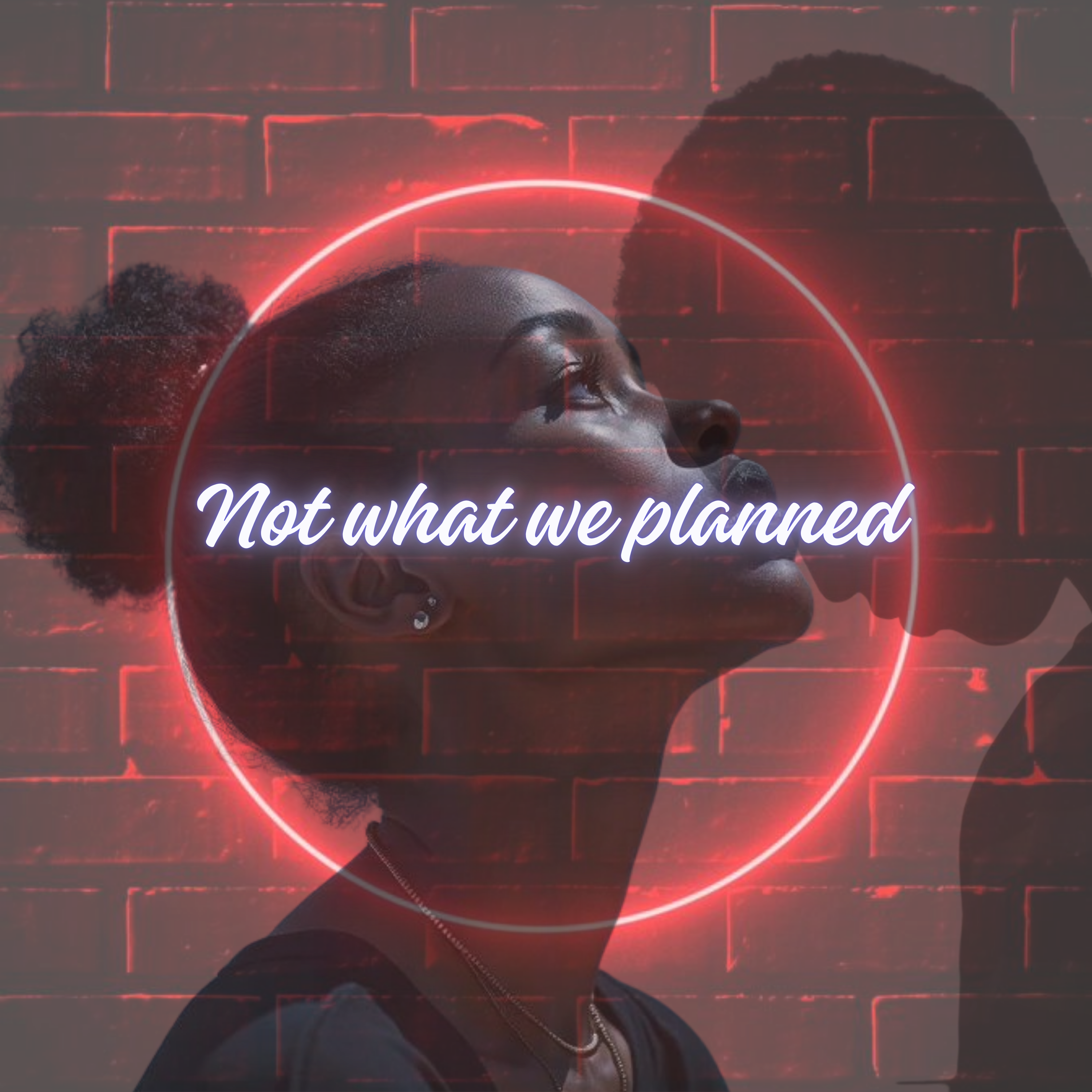 Not What We Planned artwork