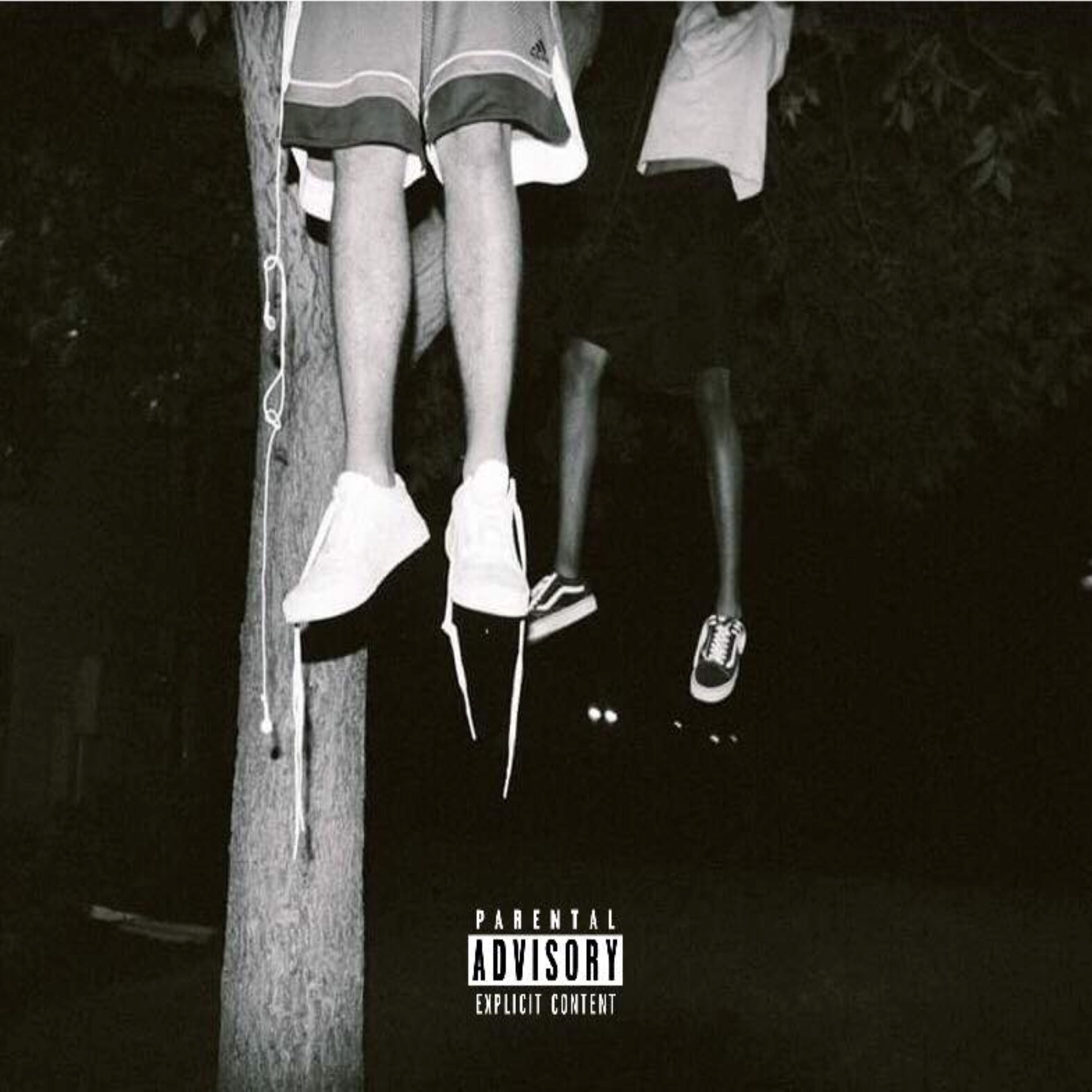 I won't die in the Valley artwork