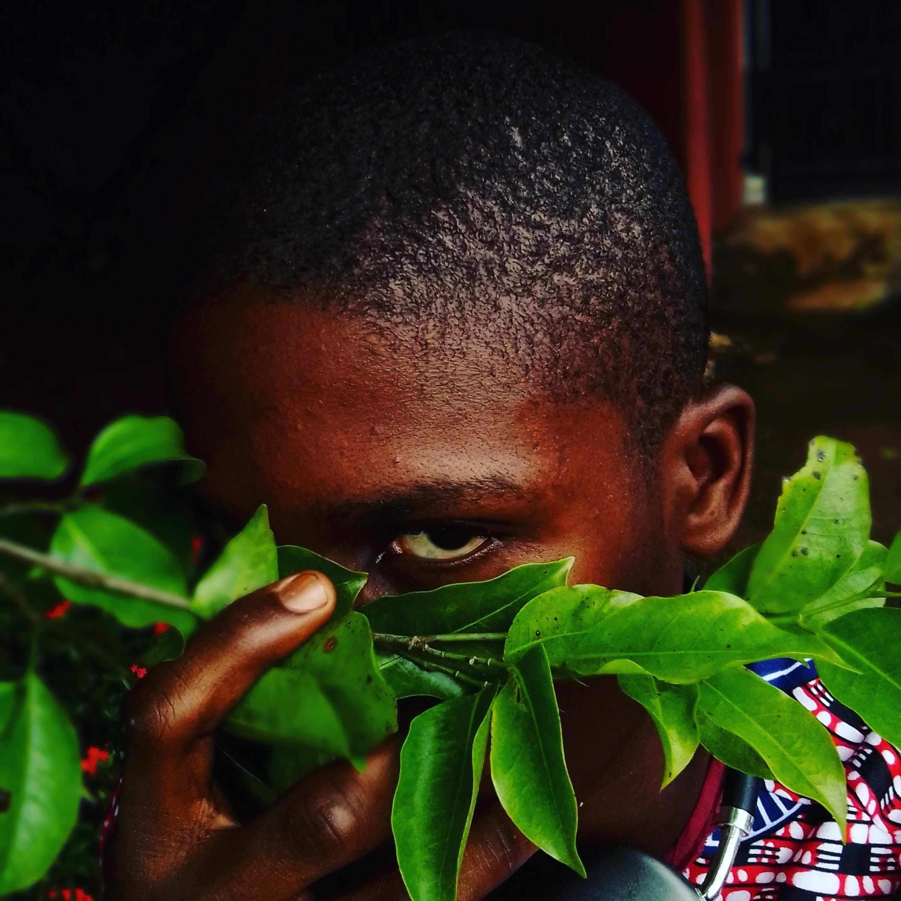 Rebirth artwork