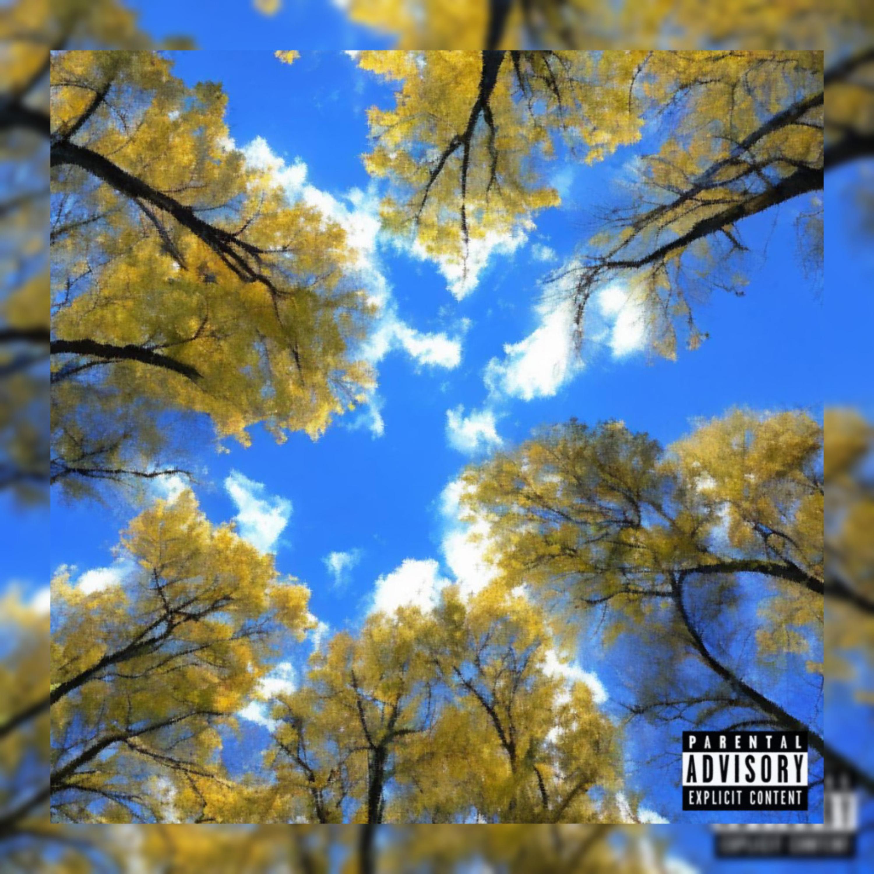 BLUE SKIES artwork