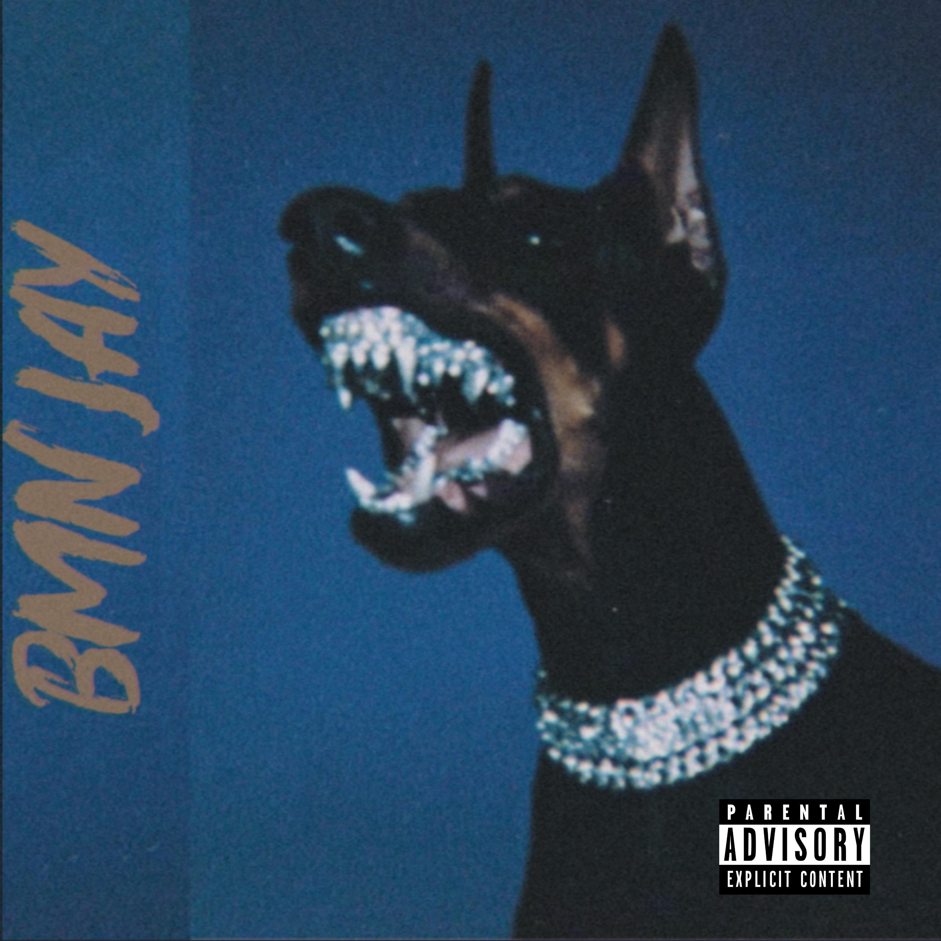 Never Had It Like This artwork