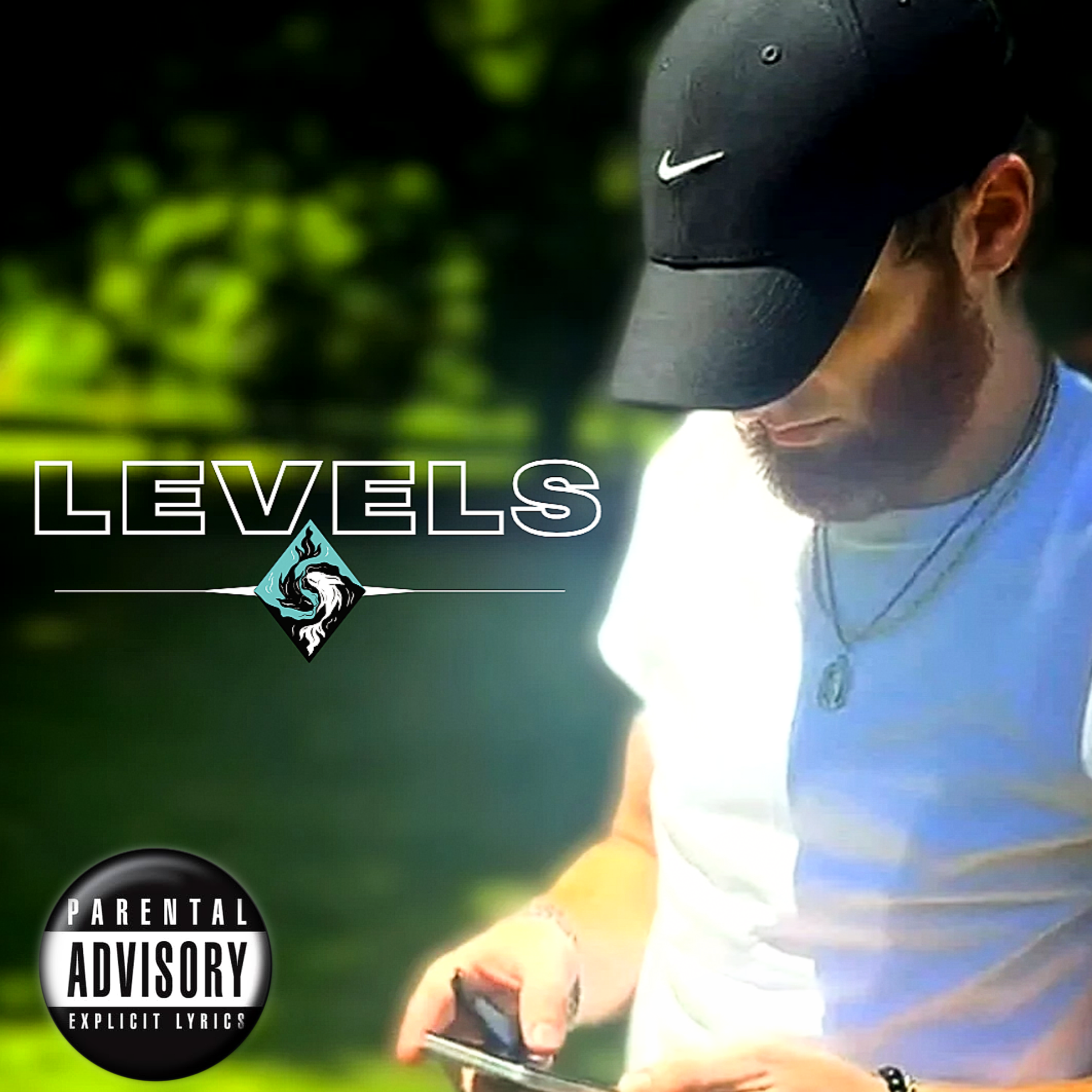 LEVELS artwork