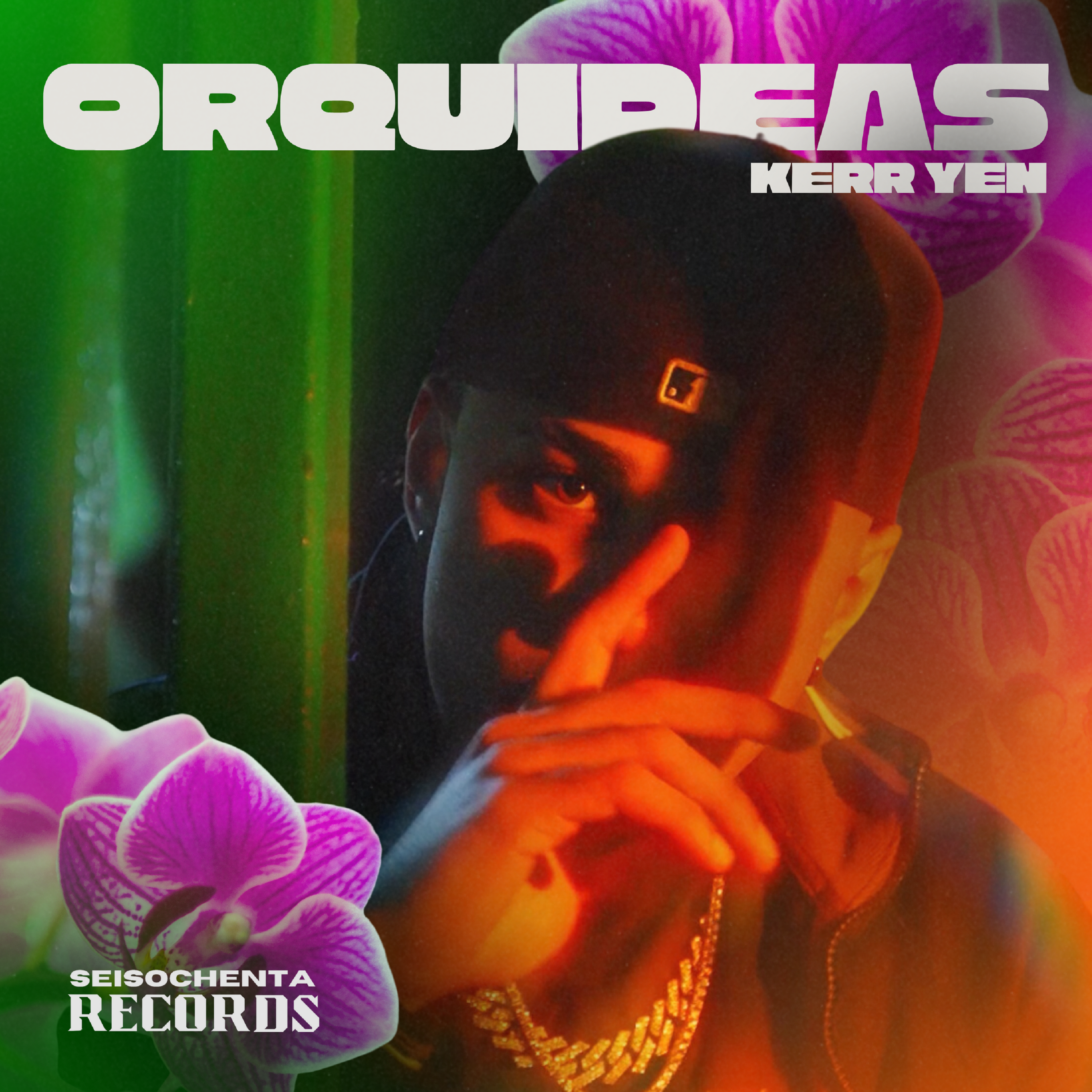 oRQUÍDEAS. artwork