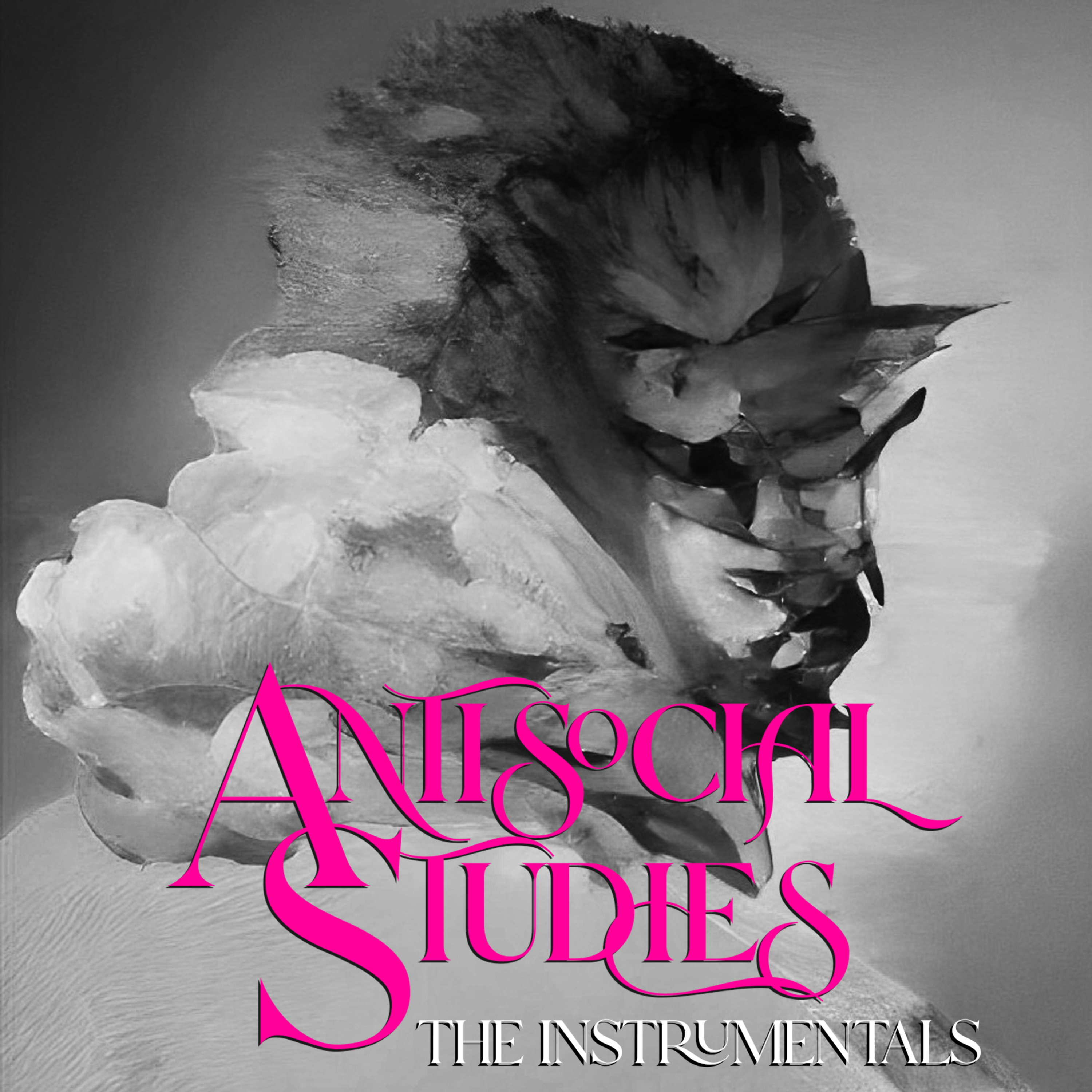 AntiSocial Studies (Instrumentals) artwork