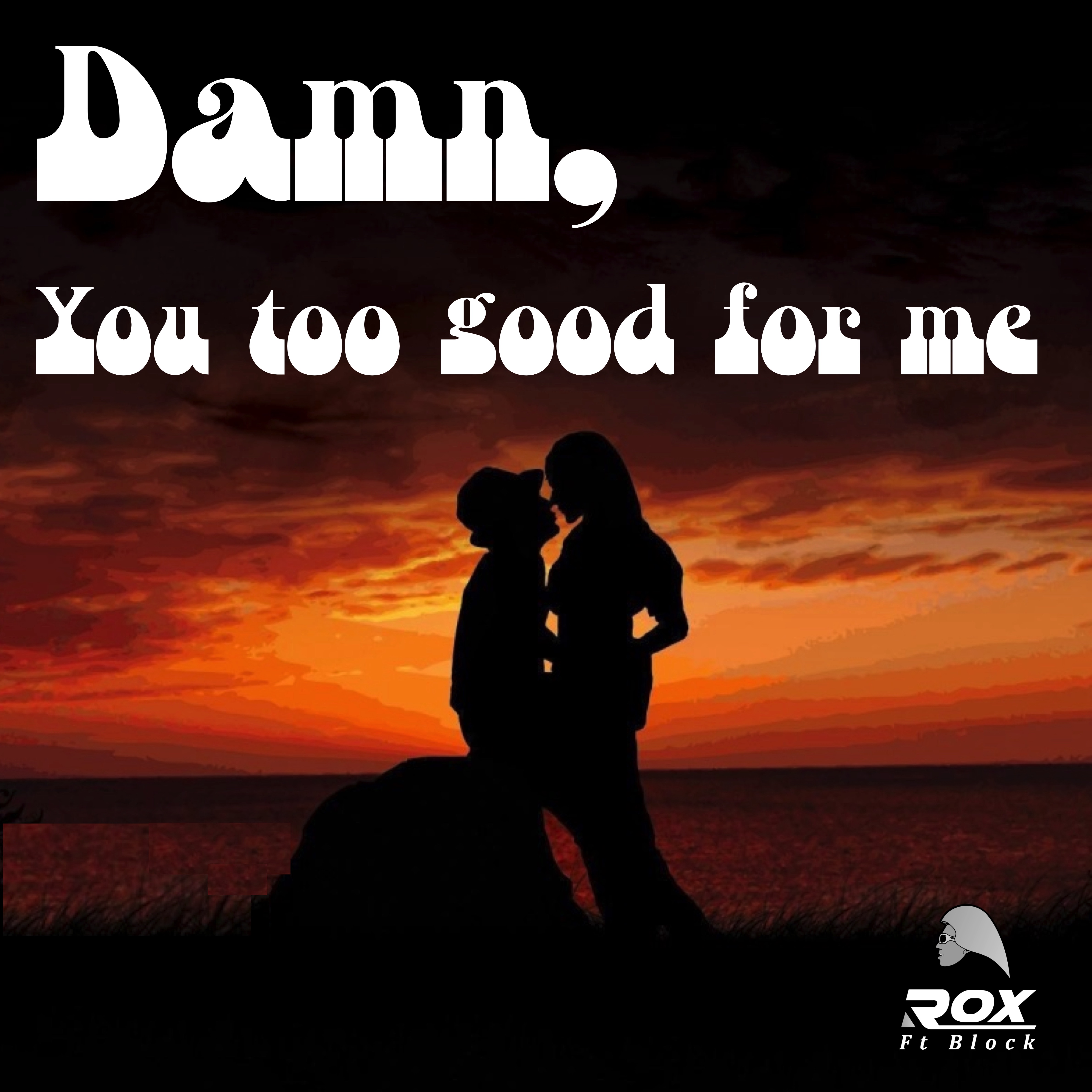 Damn, You Too Good For Me by Rox FTB cover art
