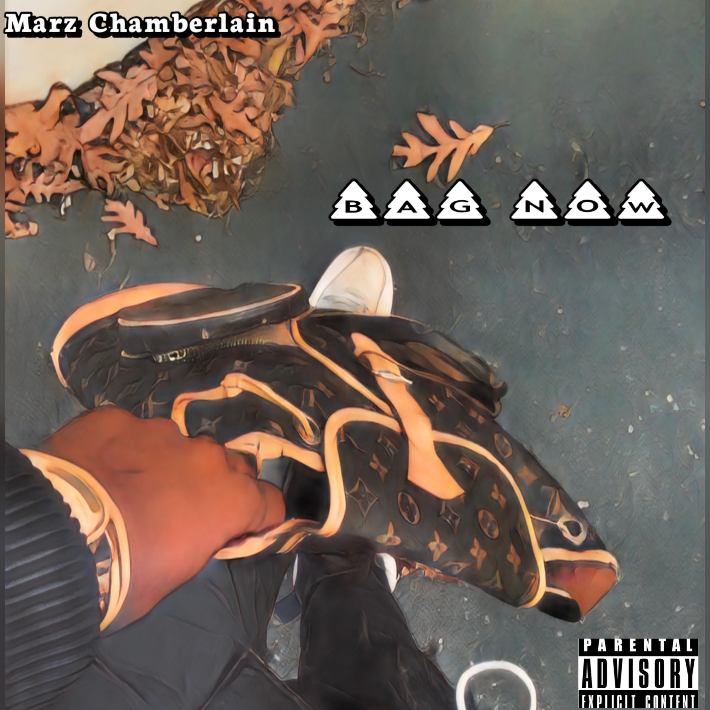Bag Now artwork
