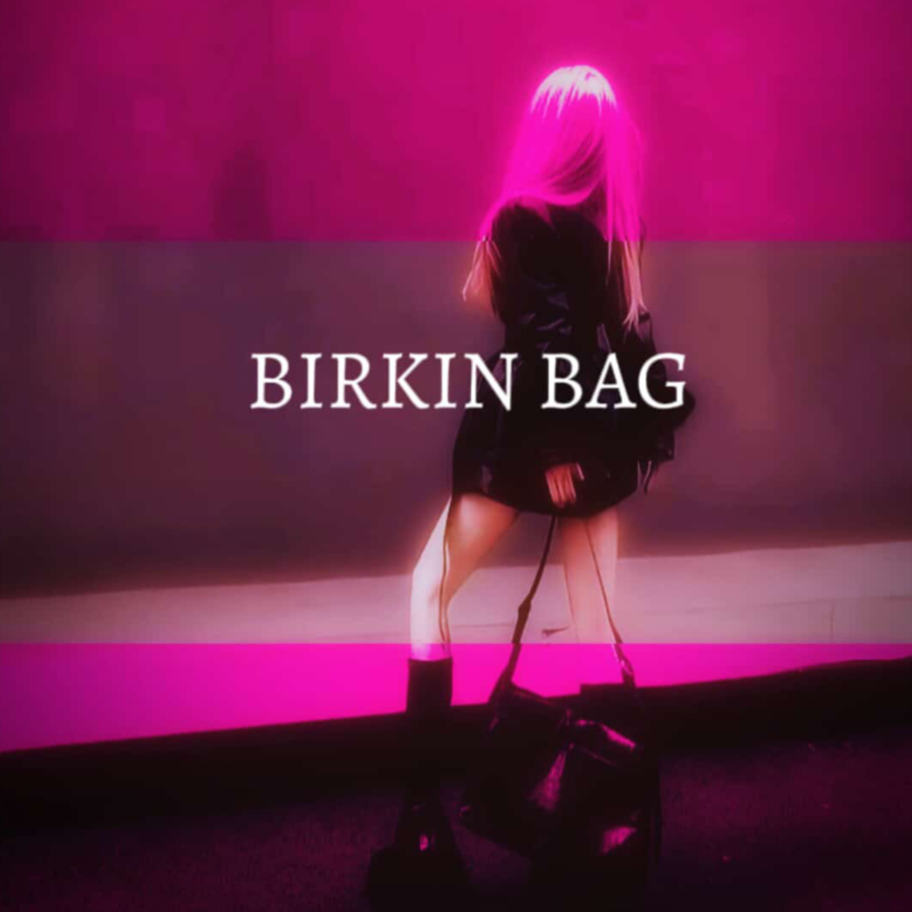Birkin Bag artwork