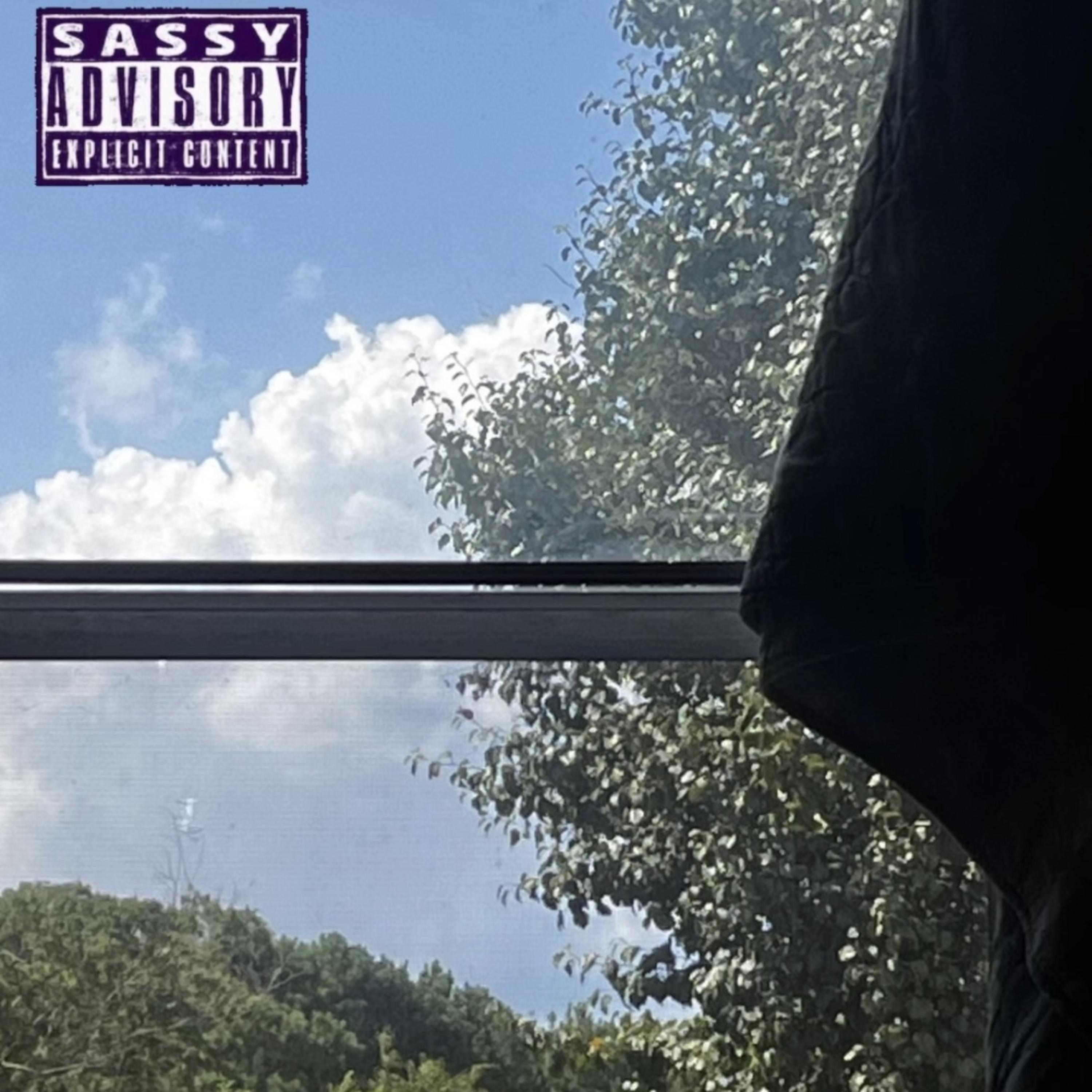 No Monkeys On Da Bed by killgno cover art