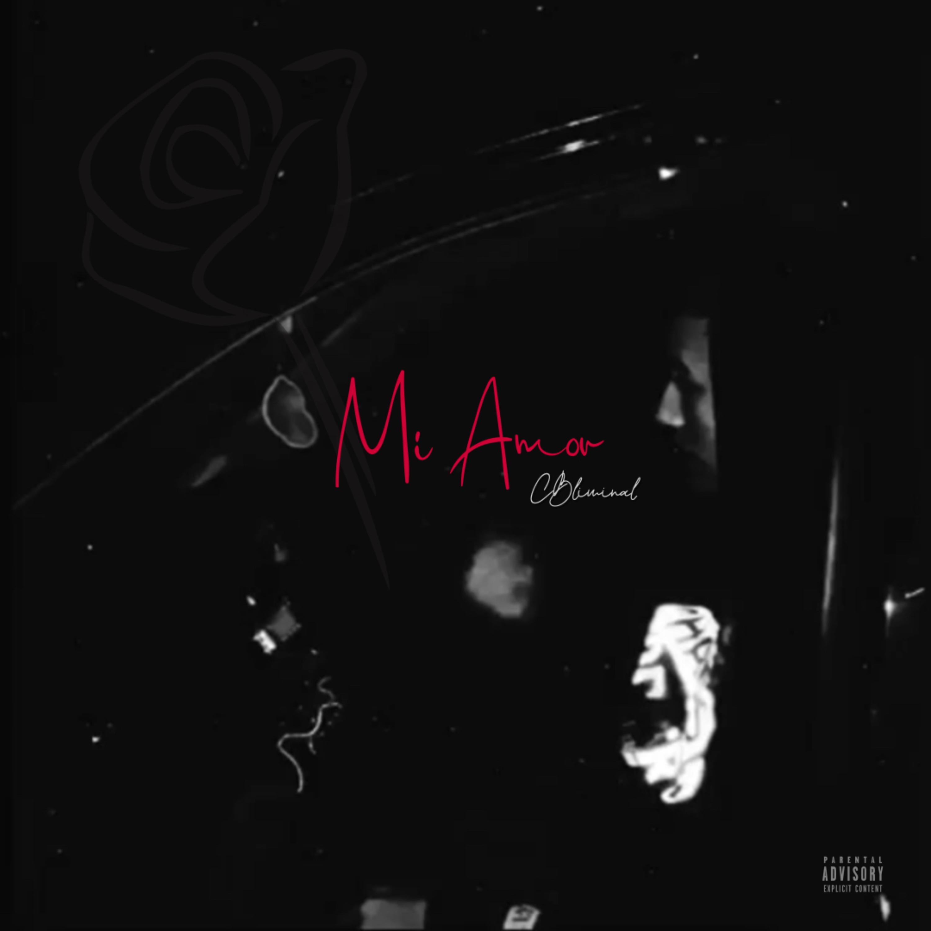 Mi Amor artwork
