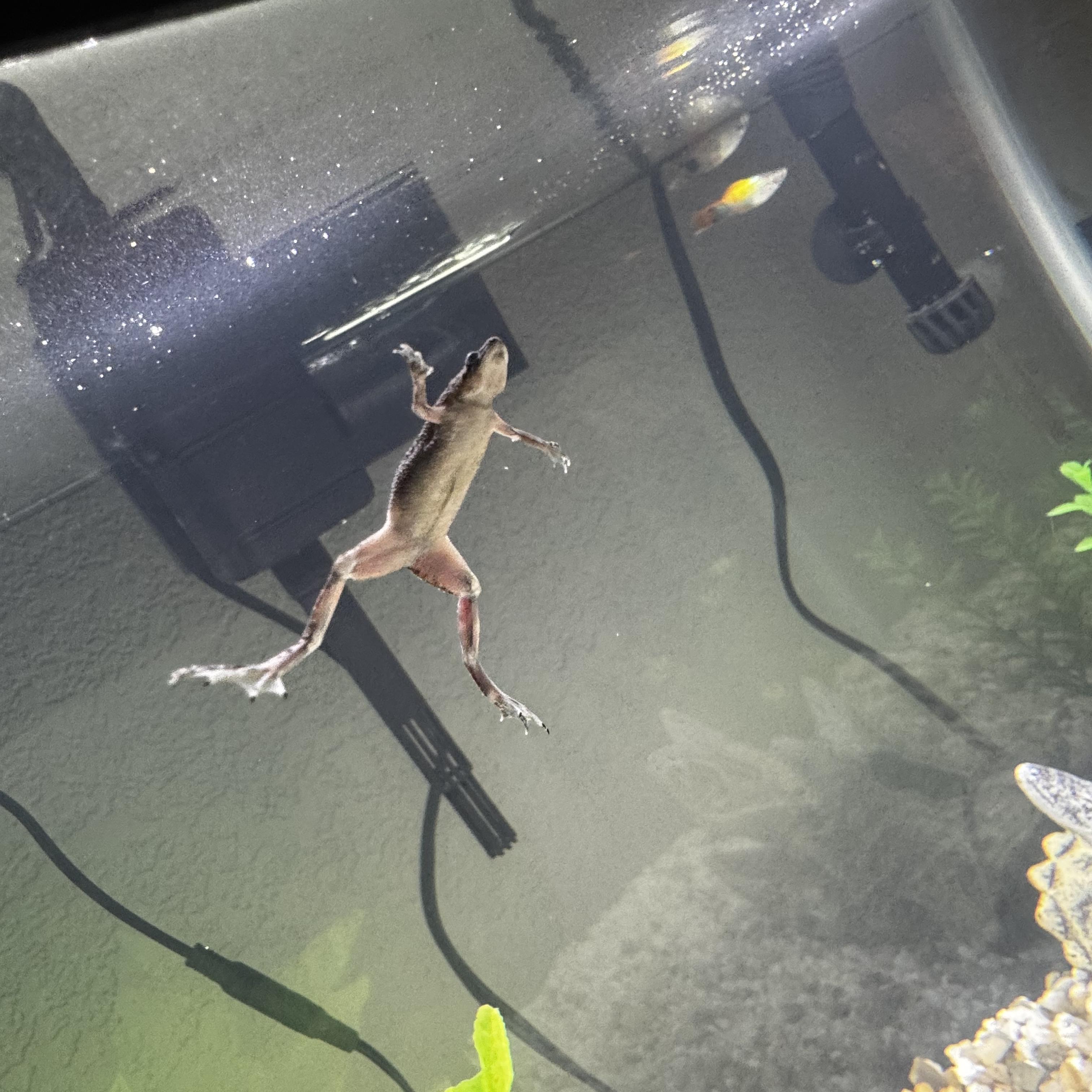 Bad Behavior artwork