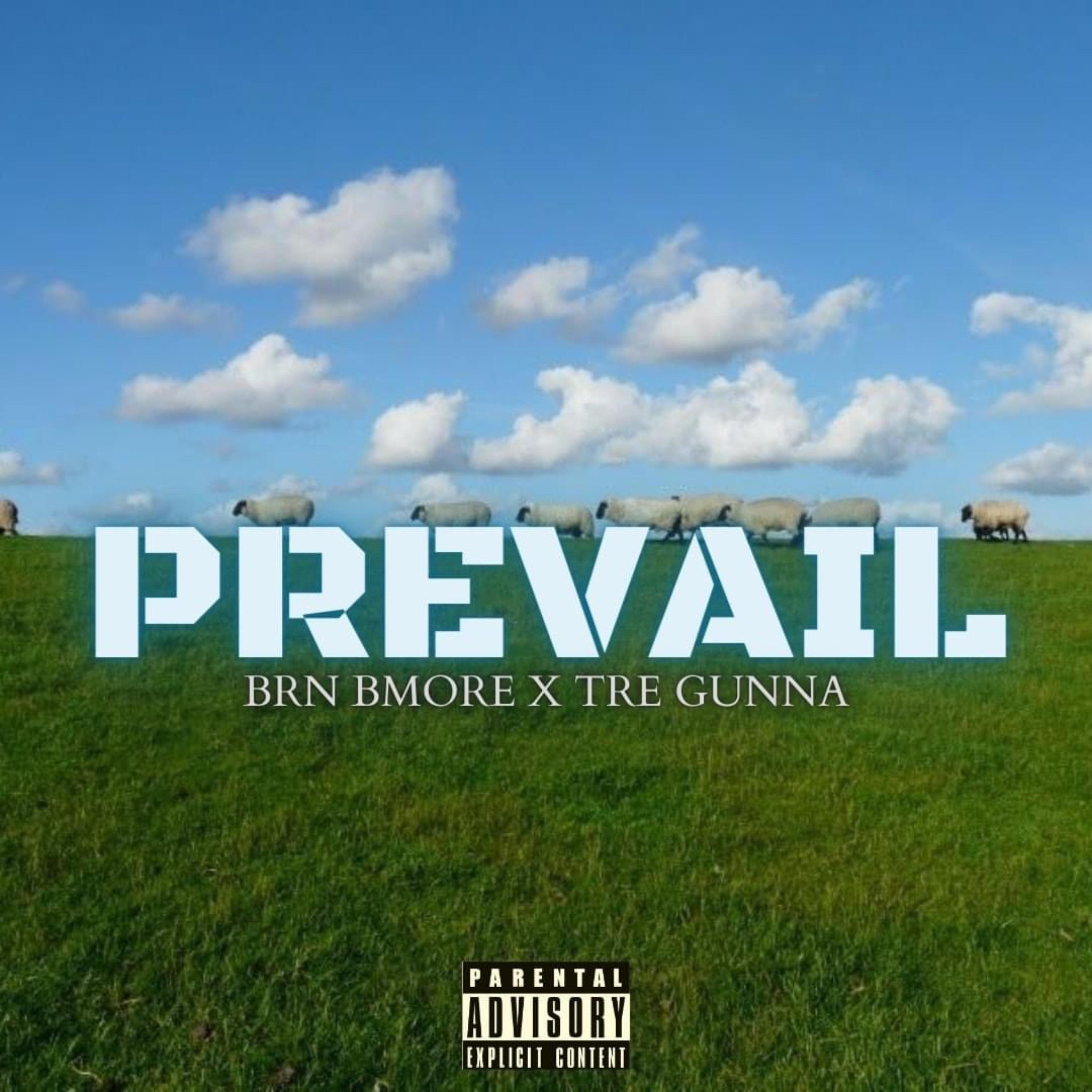 Prevail artwork