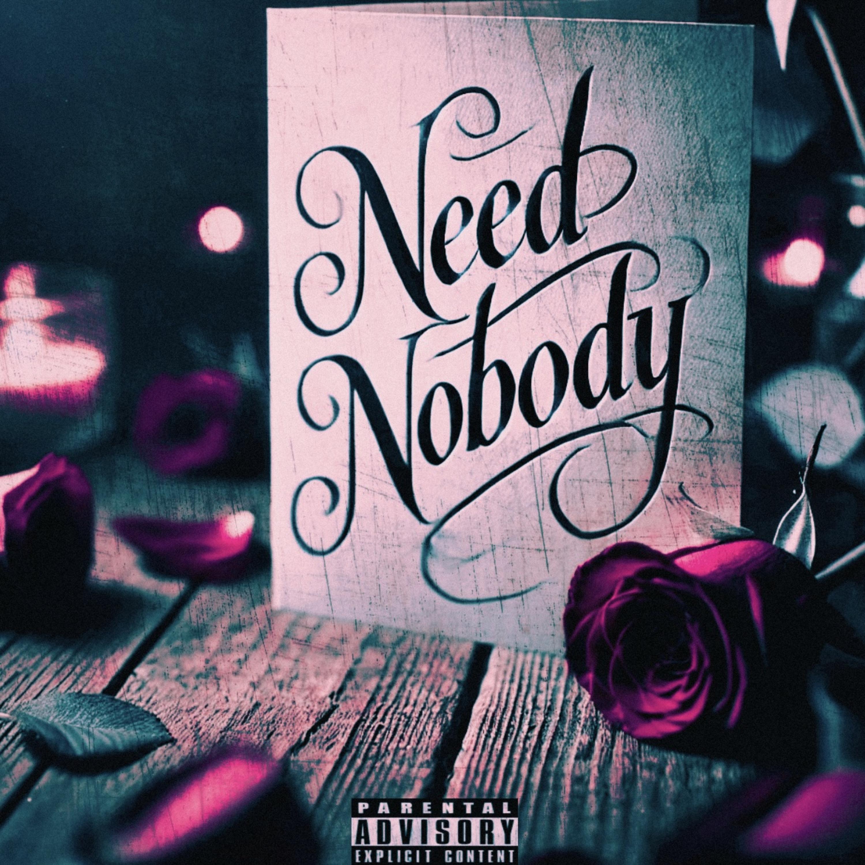 Need Nobody by Ace Julio cover art