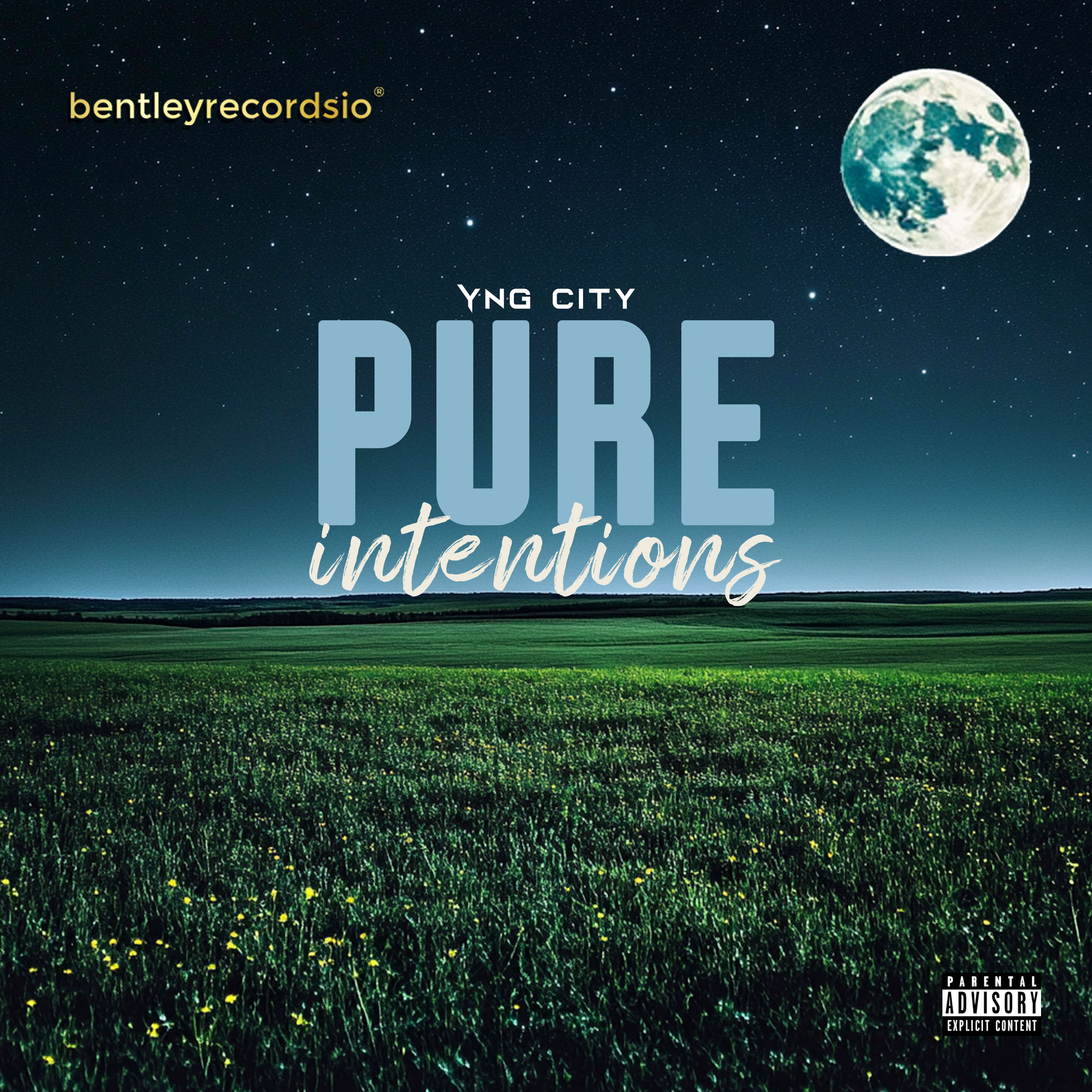 PURE INTENTIONS. artwork